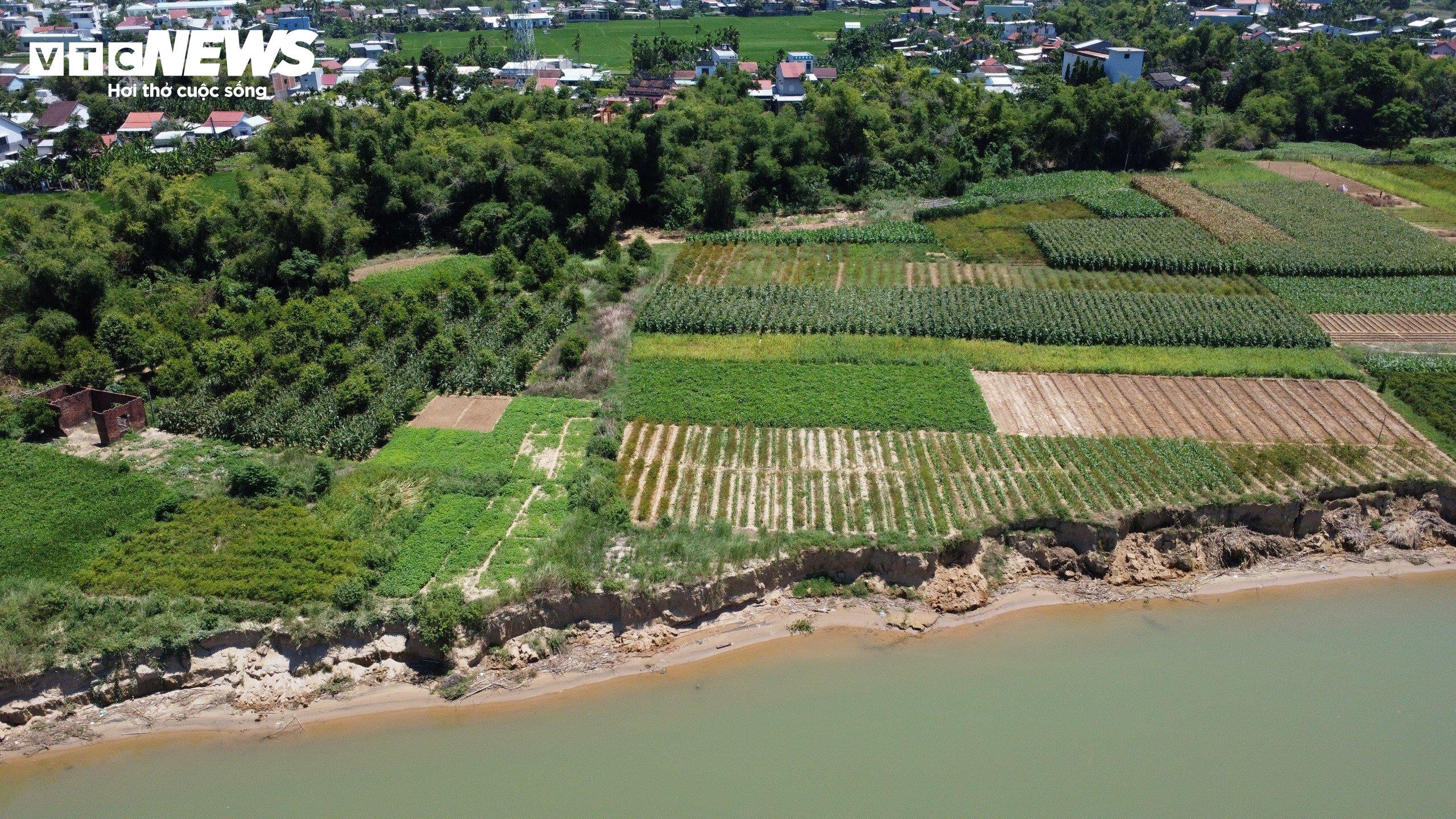 Cận cảnh bờ sông bị 'hà bá' ngoạm nham nhở, dân mất đất sản xuất - 1