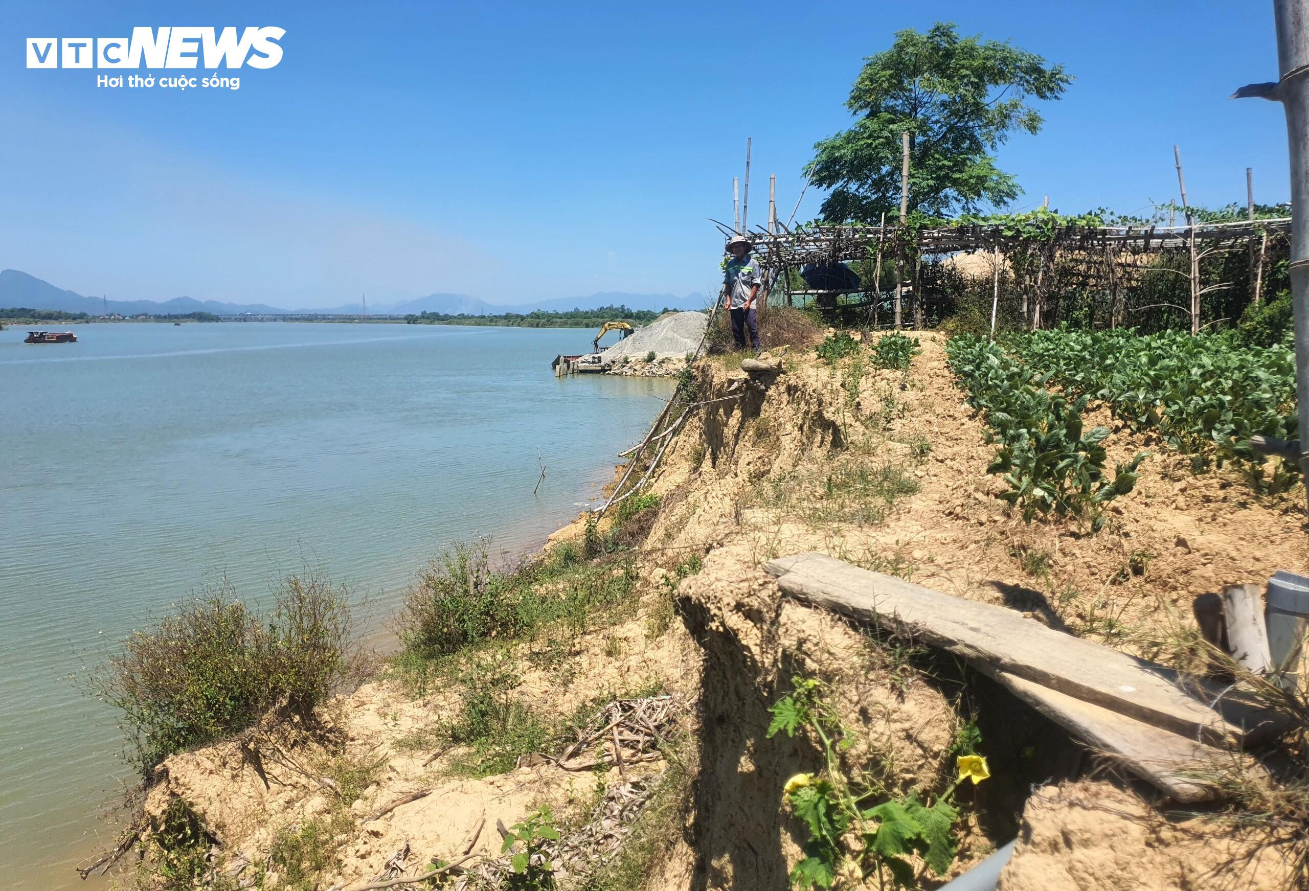 Cận cảnh bờ sông bị 'hà bá' ngoạm nham nhở, dân mất đất sản xuất - 5