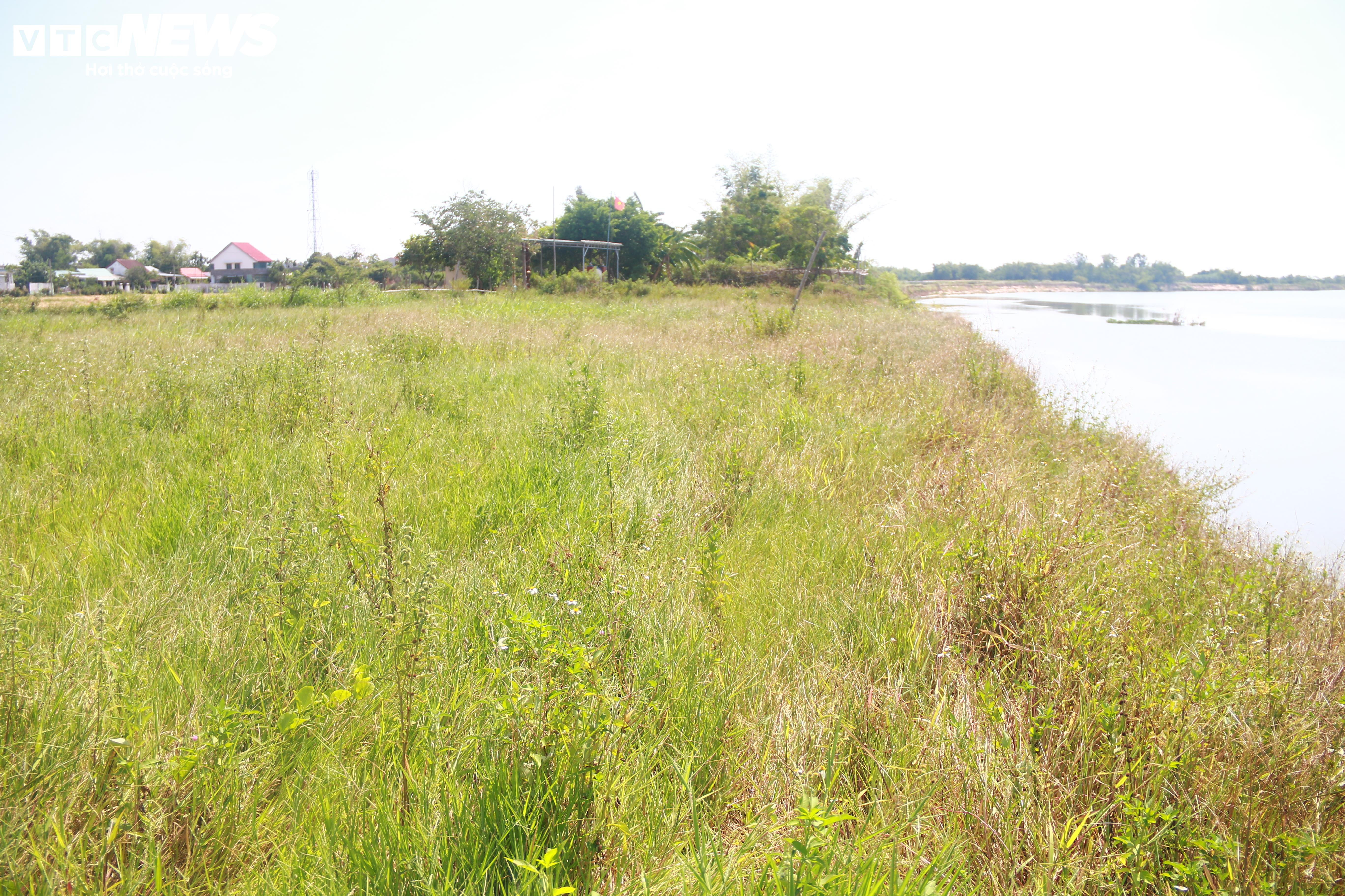 Cận cảnh bờ sông bị 'hà bá' ngoạm nham nhở, dân mất đất sản xuất - 6