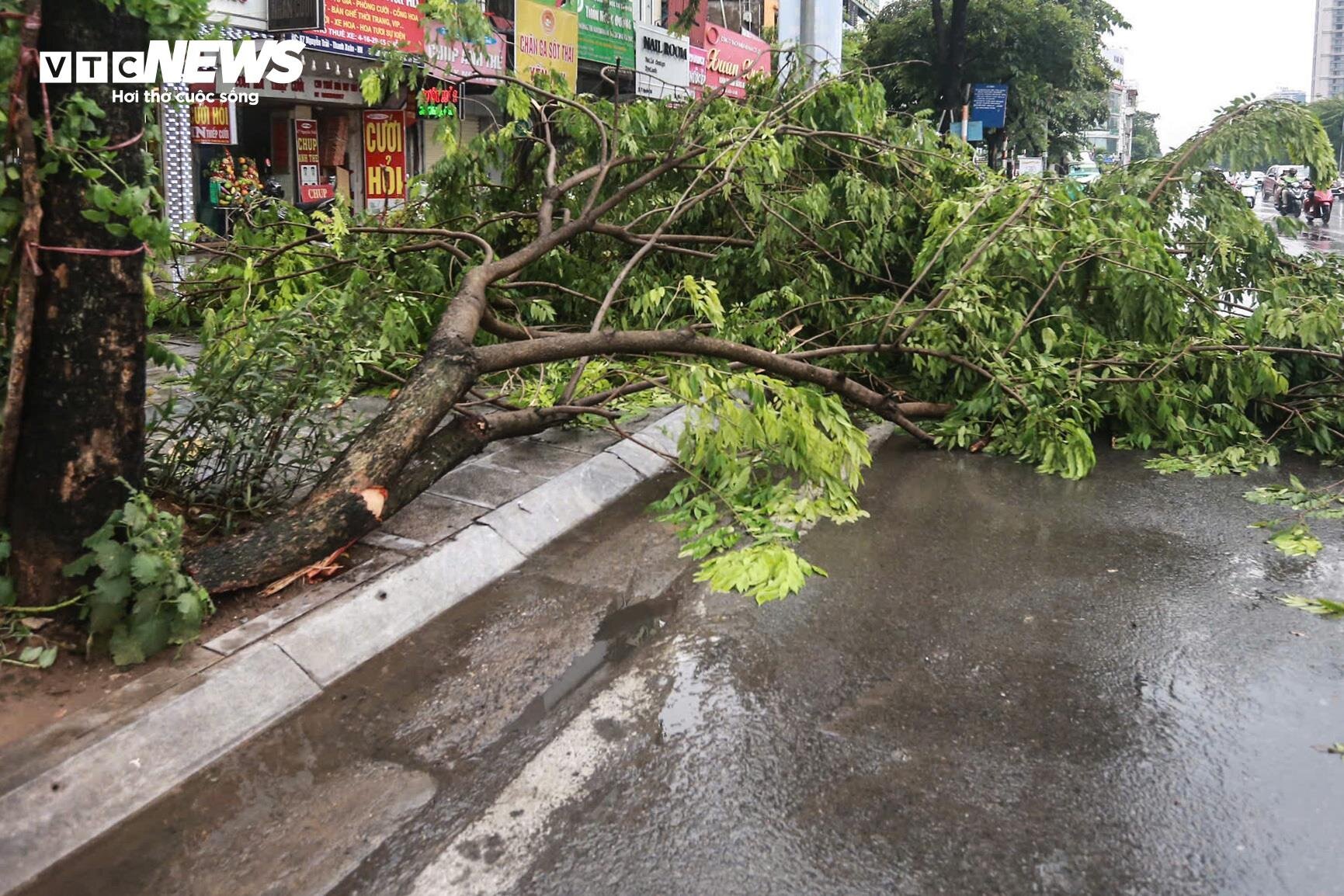 Hà Nội mưa lớn kèm dông lốc, cây cổ thụ và trụ đèn giao thông đổ la liệt - 6