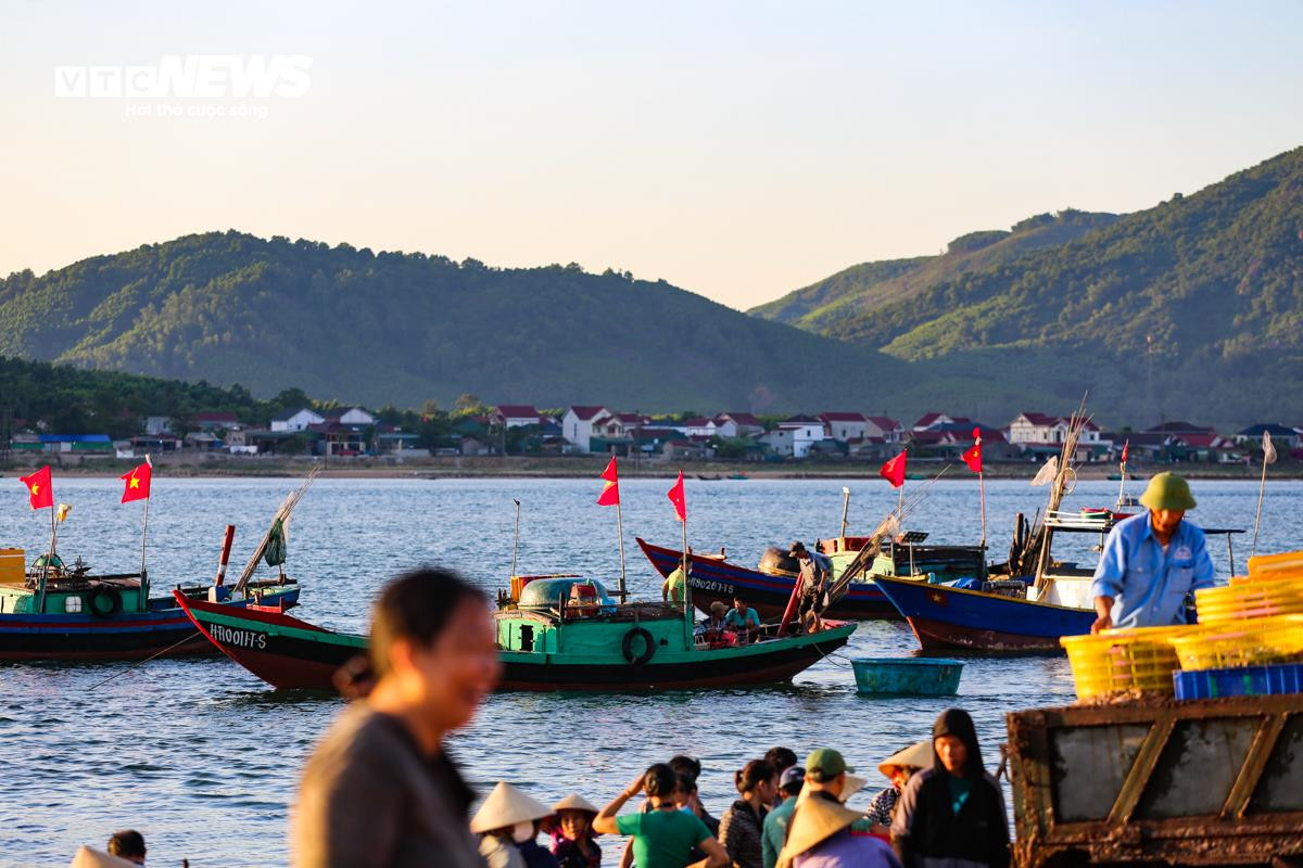 Nhộn nhịp chợ cá Cồn Gò bên làng chài 600 năm tuổi ở Hà Tĩnh - 8