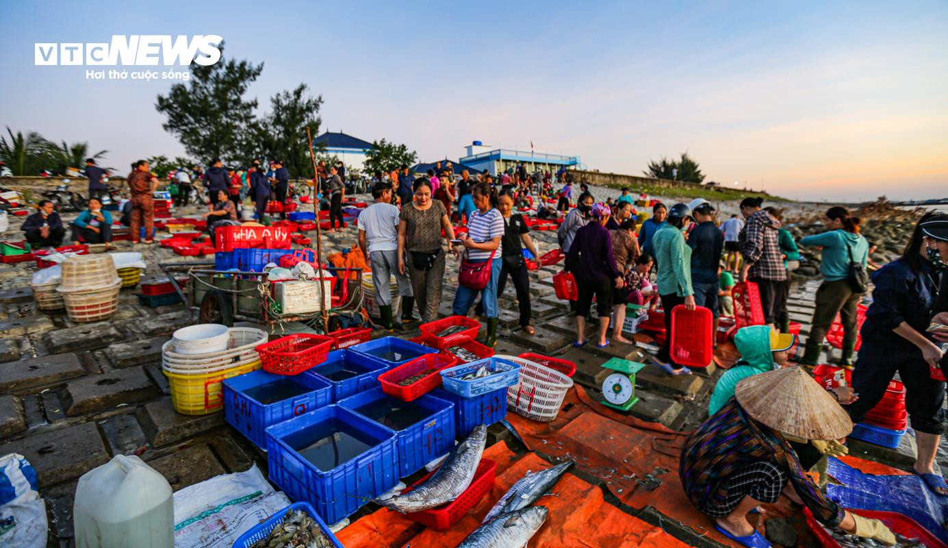 Nhộn nhịp chợ cá Cồn Gò bên làng chài 600 năm tuổi ở Hà Tĩnh - 7
