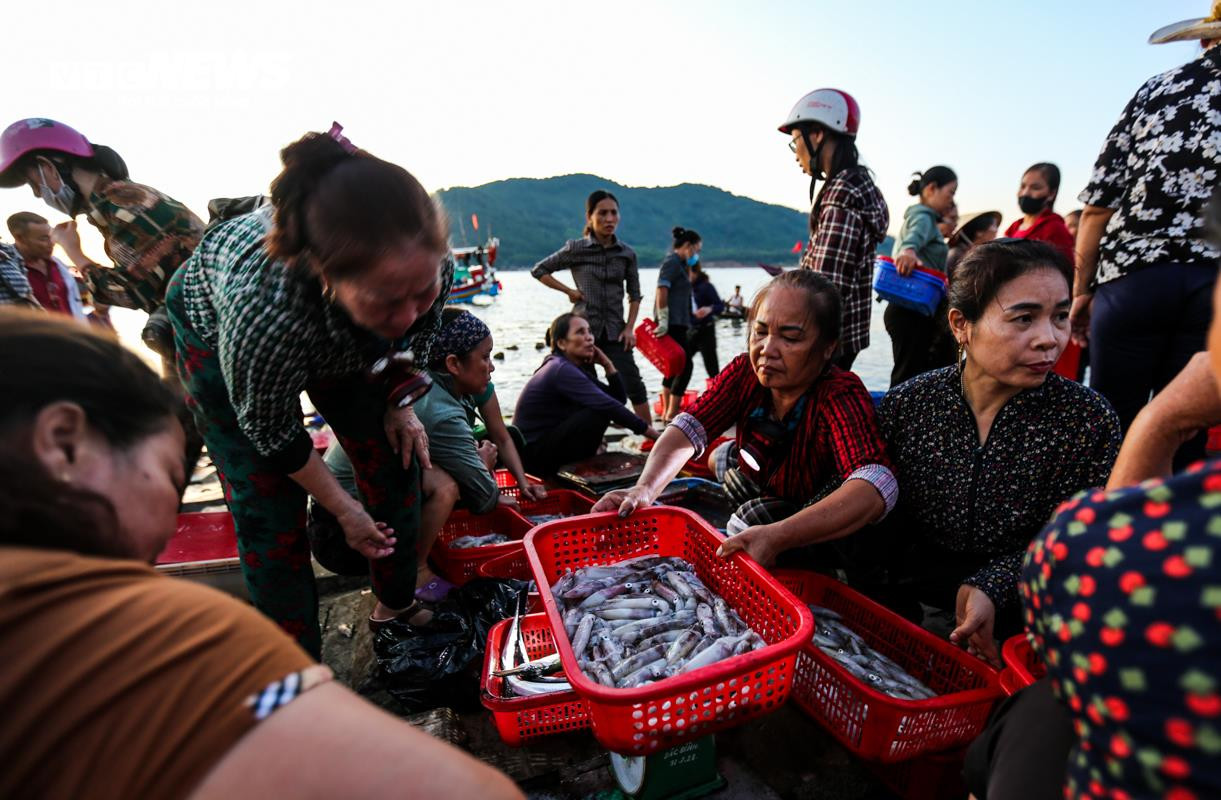 Nhộn nhịp chợ cá Cồn Gò bên làng chài 600 năm tuổi ở Hà Tĩnh - 4