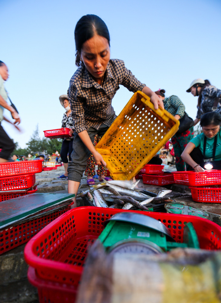 Nhộn nhịp chợ cá Cồn Gò bên làng chài 600 năm tuổi ở Hà Tĩnh - 11