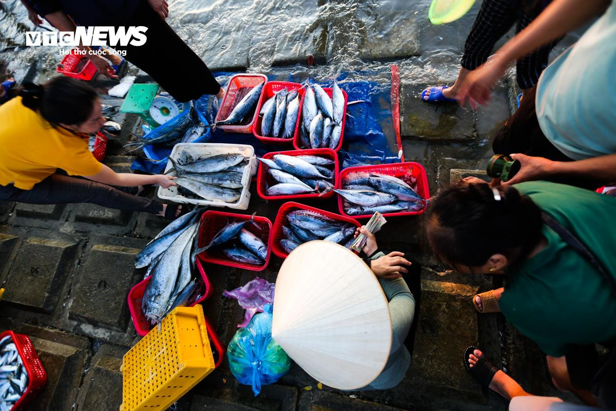 Nhộn nhịp chợ cá Cồn Gò bên làng chài 600 năm tuổi ở Hà Tĩnh - 6