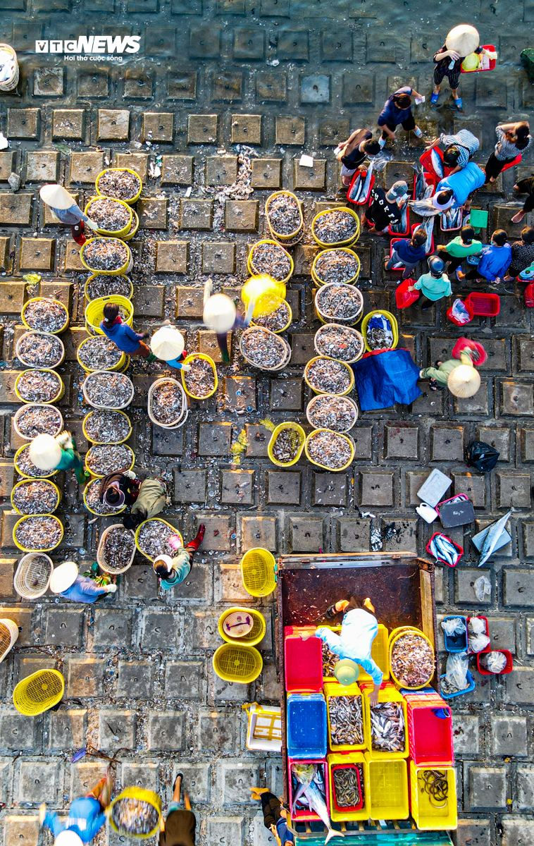 Nhộn nhịp chợ cá Cồn Gò bên làng chài 600 năm tuổi ở Hà Tĩnh - 17