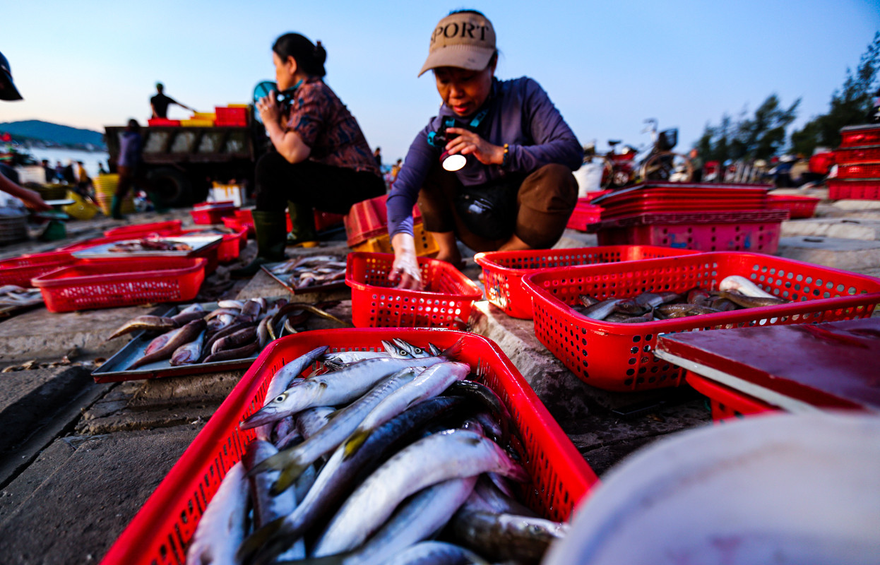 Nhộn nhịp chợ cá Cồn Gò bên làng chài 600 năm tuổi ở Hà Tĩnh - 14