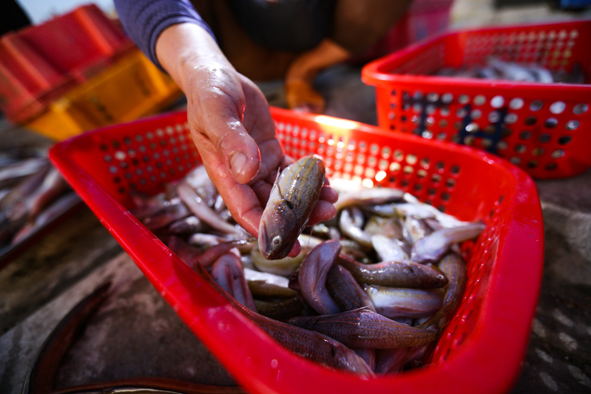 Nhộn nhịp chợ cá Cồn Gò bên làng chài 600 năm tuổi ở Hà Tĩnh - 15