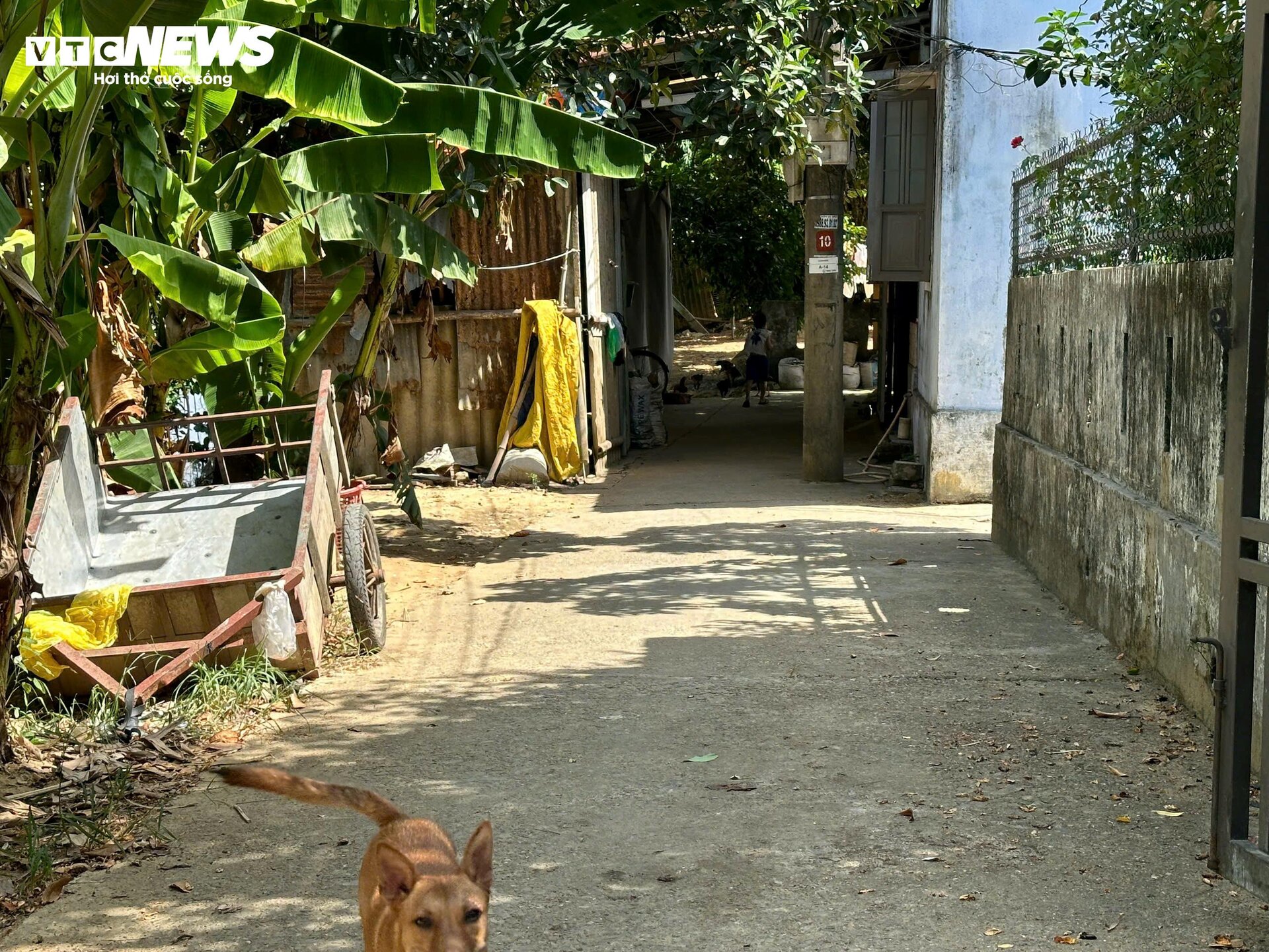 Bên trong ốc đảo được ví như 'rồng xanh' ở cố đô Huế - 11