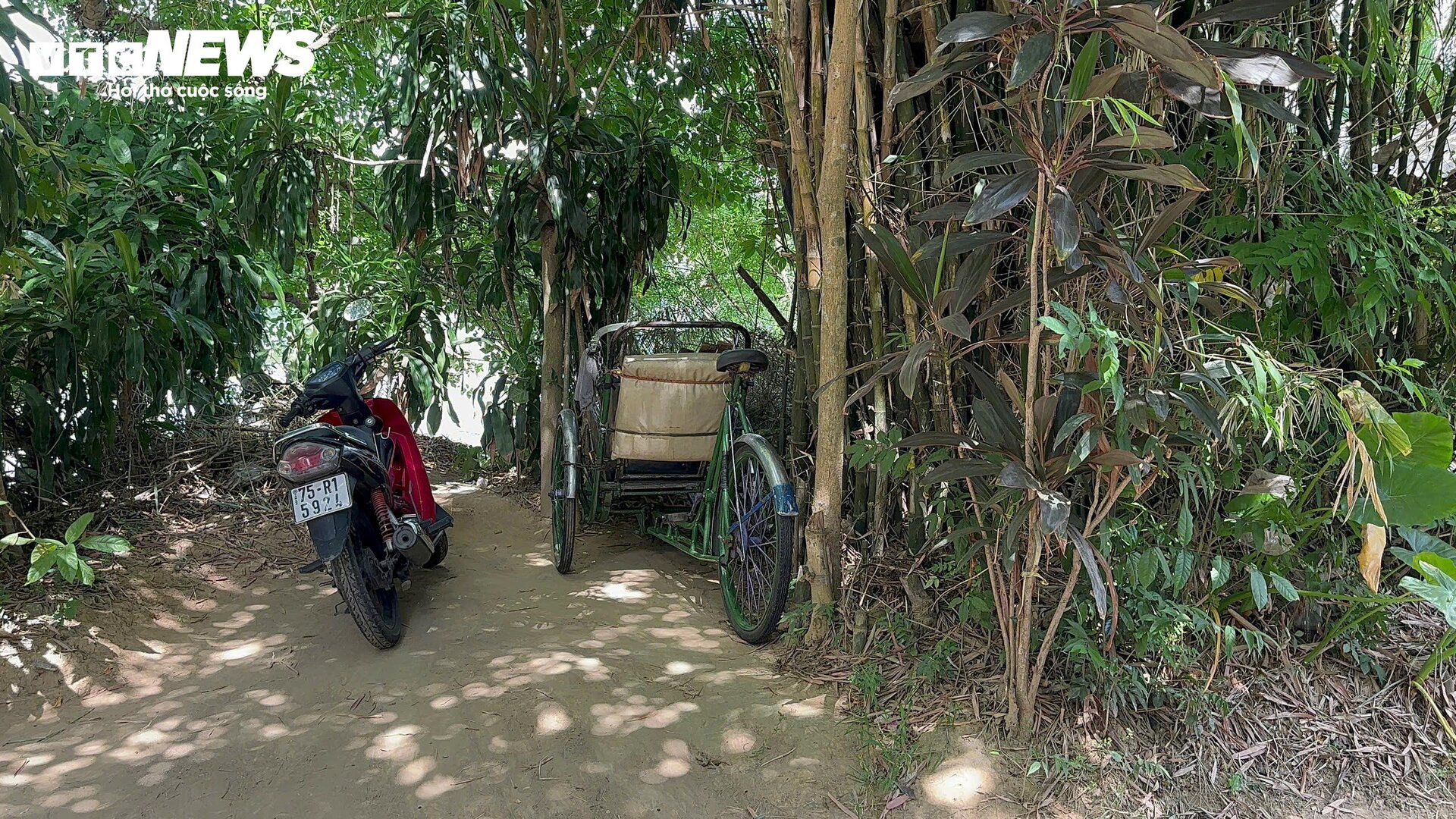 Bên trong ốc đảo được ví như 'rồng xanh' ở cố đô Huế - 13