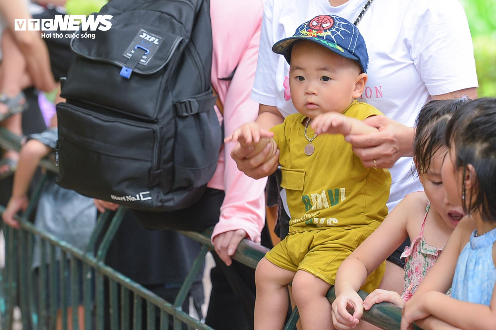 Người dân các tỉnh đổ về tham quan, vườn thú Thủ đô chật cứng người - 17