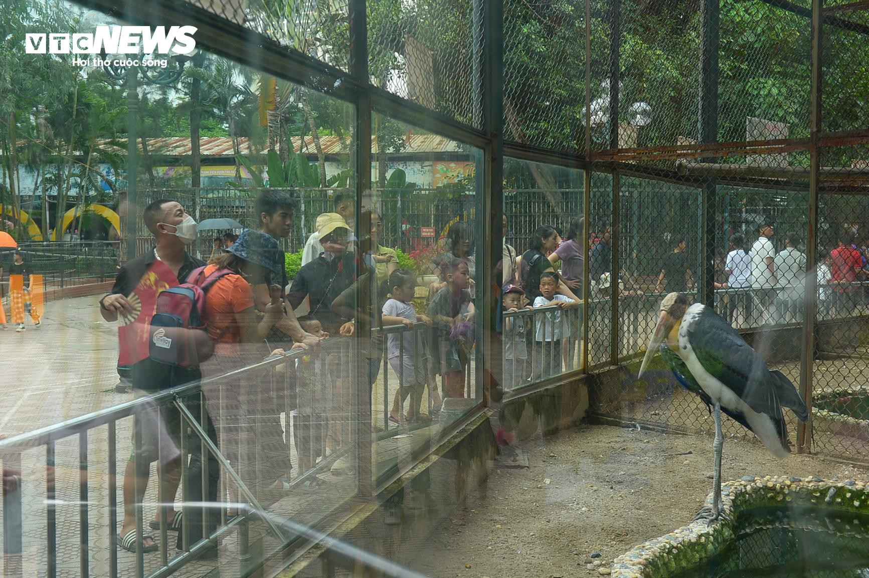 Người dân các tỉnh đổ về tham quan, vườn thú Thủ đô chật cứng người - 13