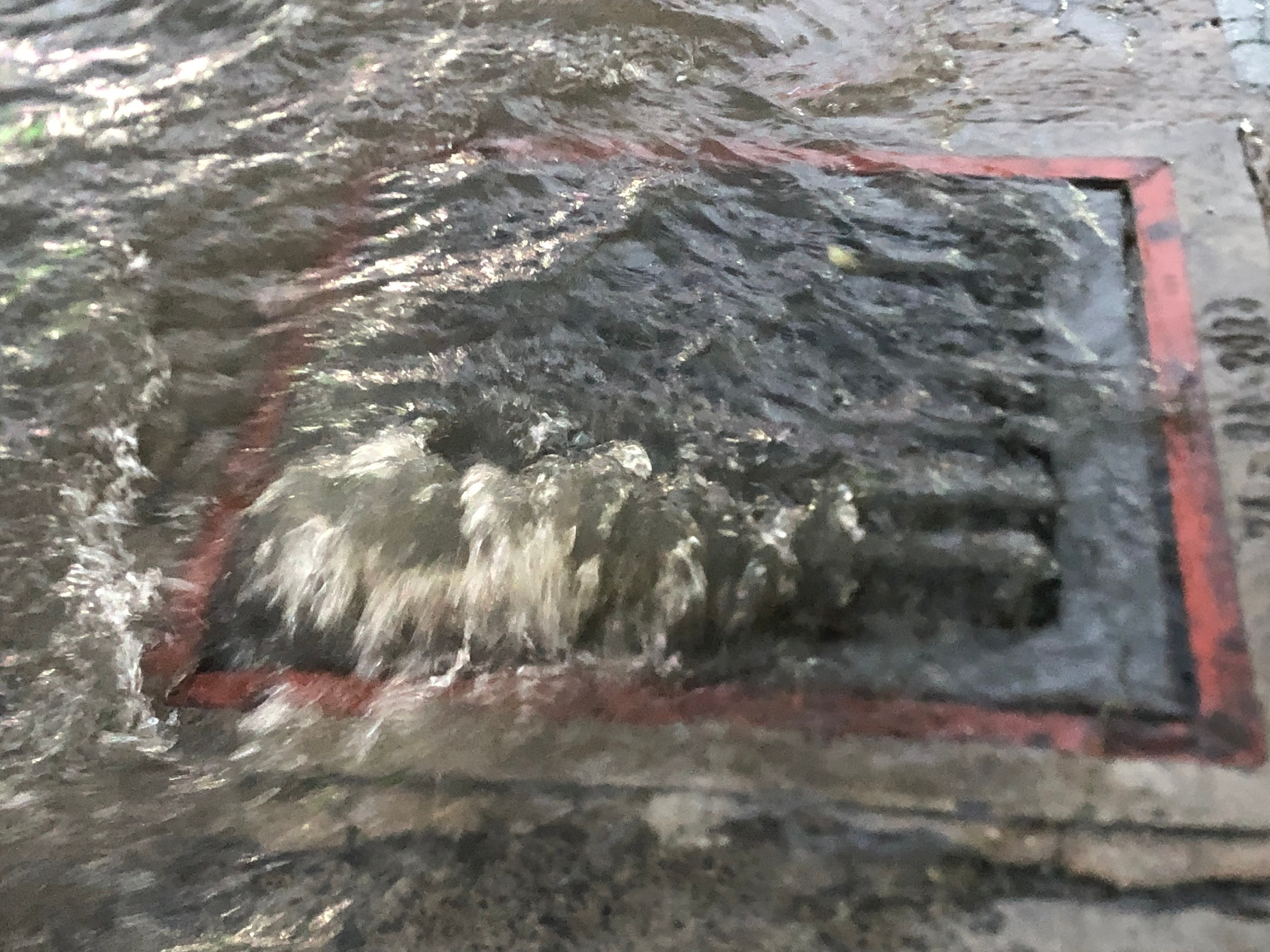 Mưa như trút nước suốt nhiều giờ, đường phố ở TP.HCM biến thành sông - 3