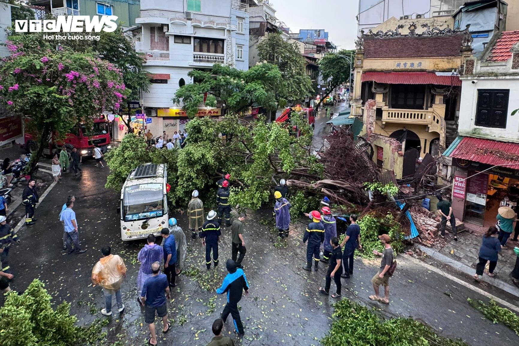 Hà Nội: Ảnh hưởng siêu bão Yagi, cây đổ khiến nhà sập, ô tô bẹp dúm trên đường - 5