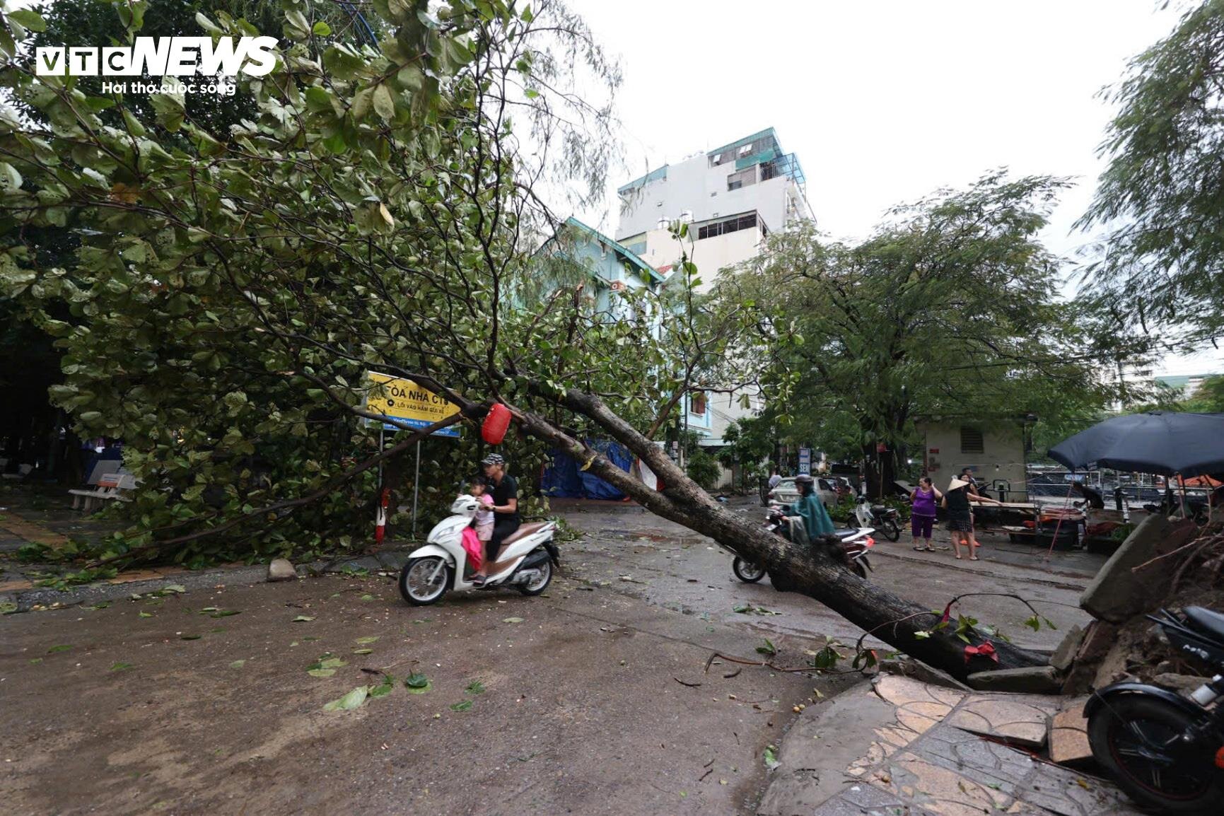 Hà Nội: Ảnh hưởng siêu bão Yagi, cây đổ khiến nhà sập, ô tô bẹp dúm trên đường - 9