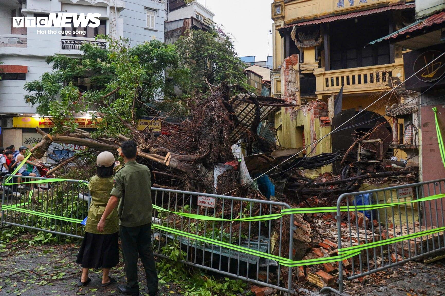 Hà Nội: Ảnh hưởng siêu bão Yagi, cây đổ khiến nhà sập, ô tô bẹp dúm trên đường - 2