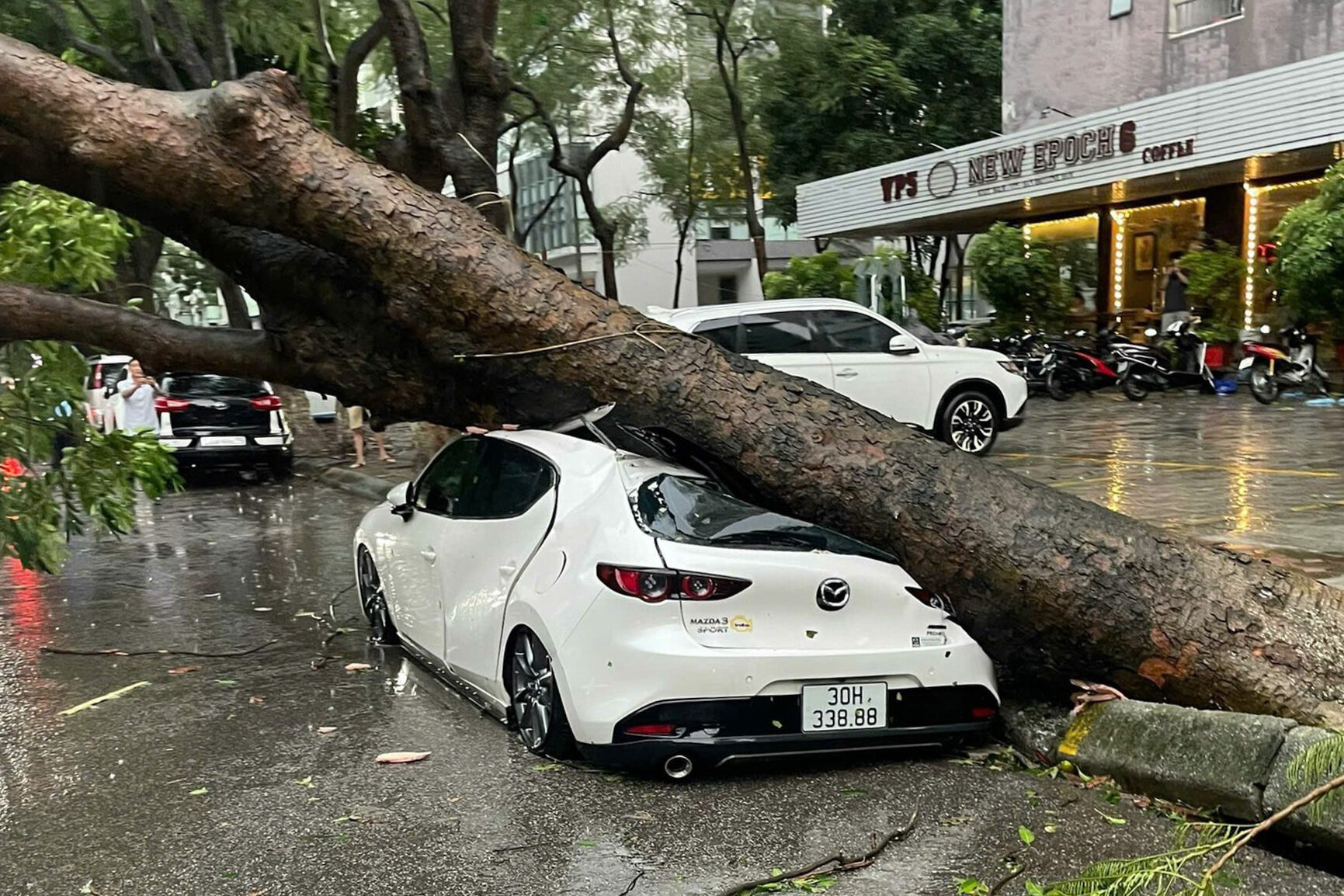 Hà Nội: Ảnh hưởng siêu bão Yagi, cây đổ khiến nhà sập, ô tô bẹp dúm trên đường - 11