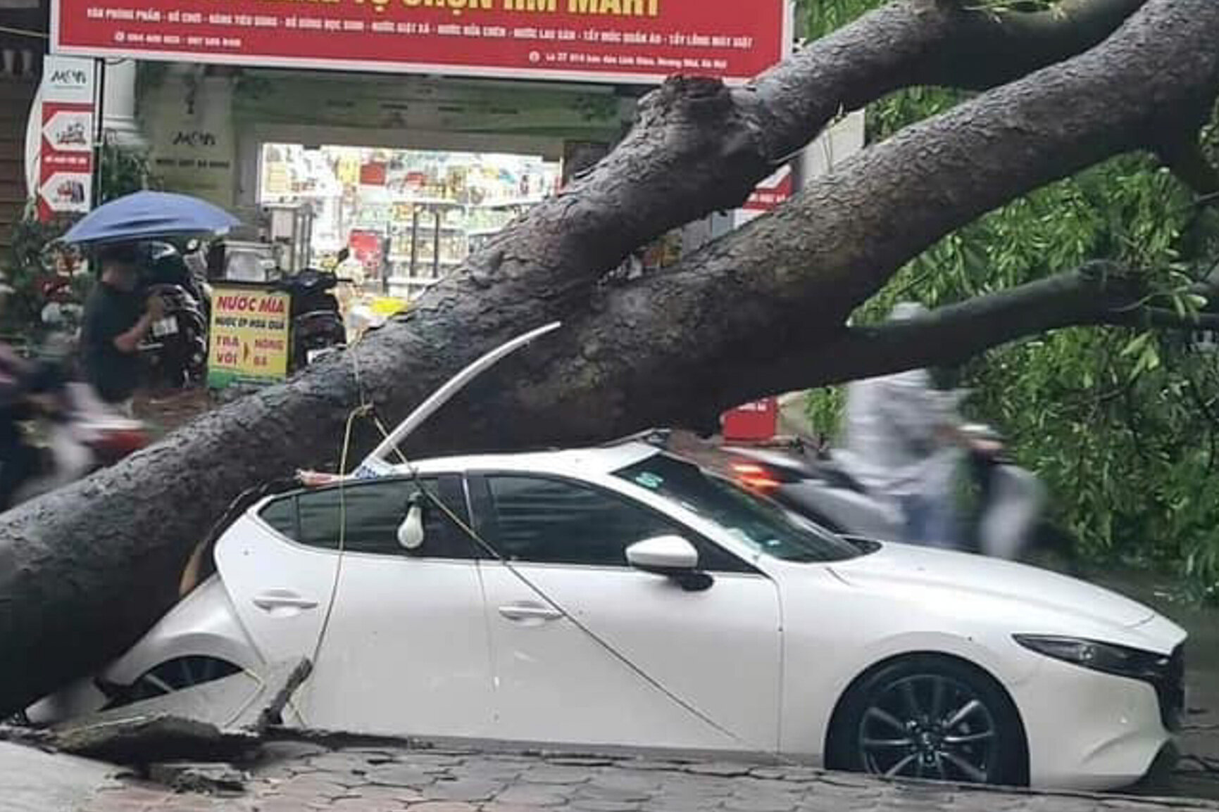 Hà Nội: Ảnh hưởng siêu bão Yagi, cây đổ khiến nhà sập, ô tô bẹp dúm trên đường - 10