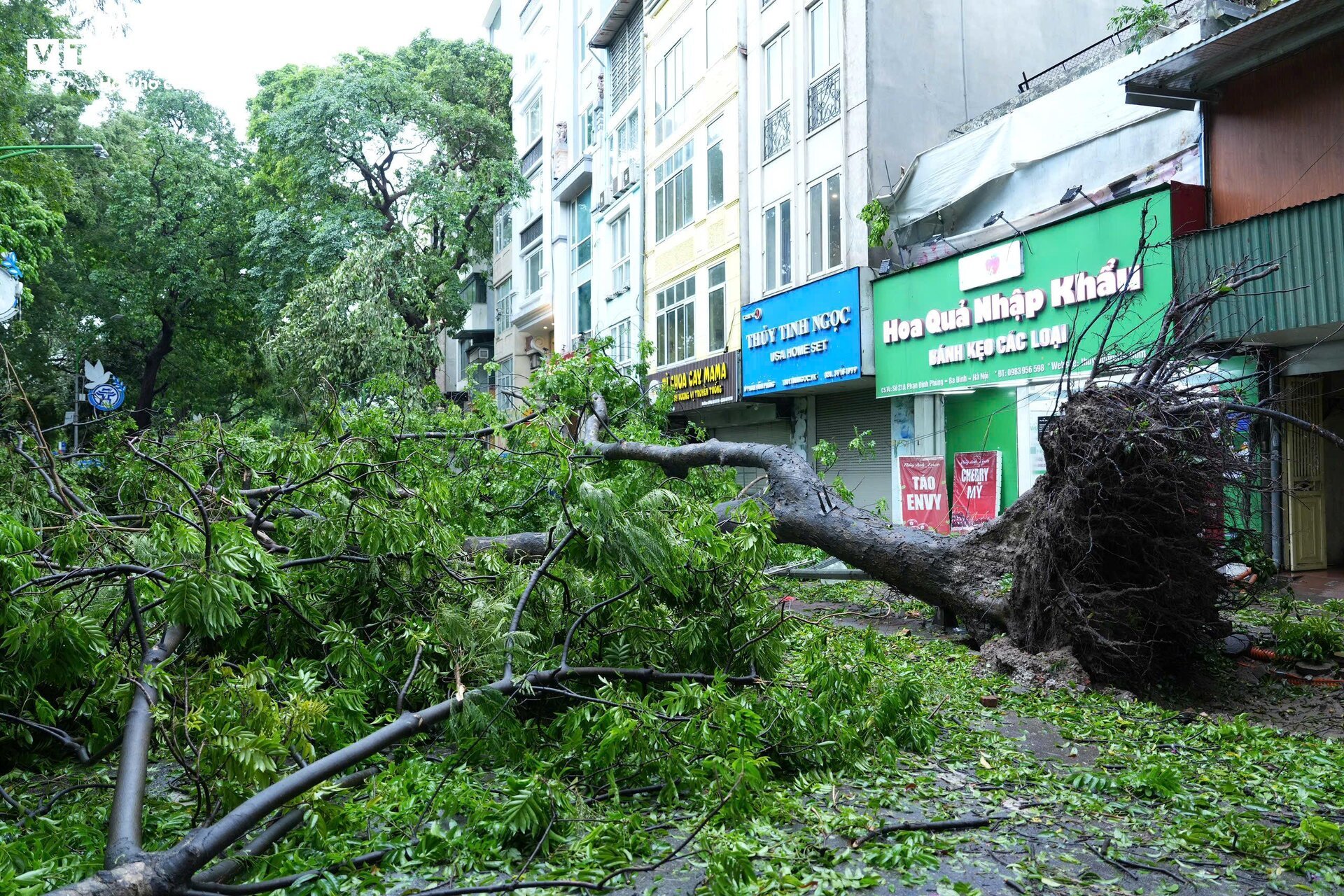 Phố phường Hà Nội tan hoang sau một đêm bão Yagi càn quét - 11