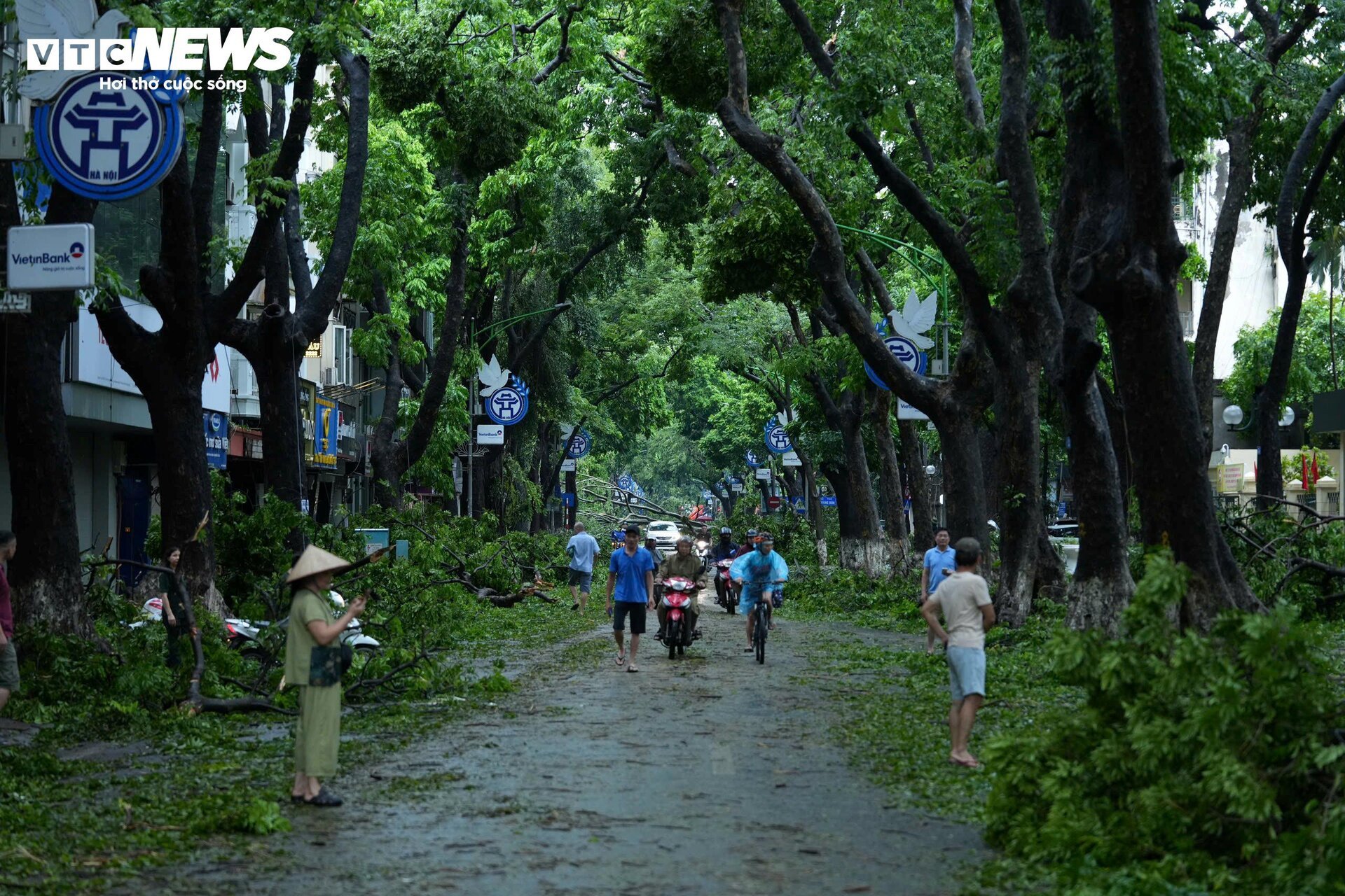 Phố phường Hà Nội tan hoang sau một đêm bão Yagi càn quét - 10