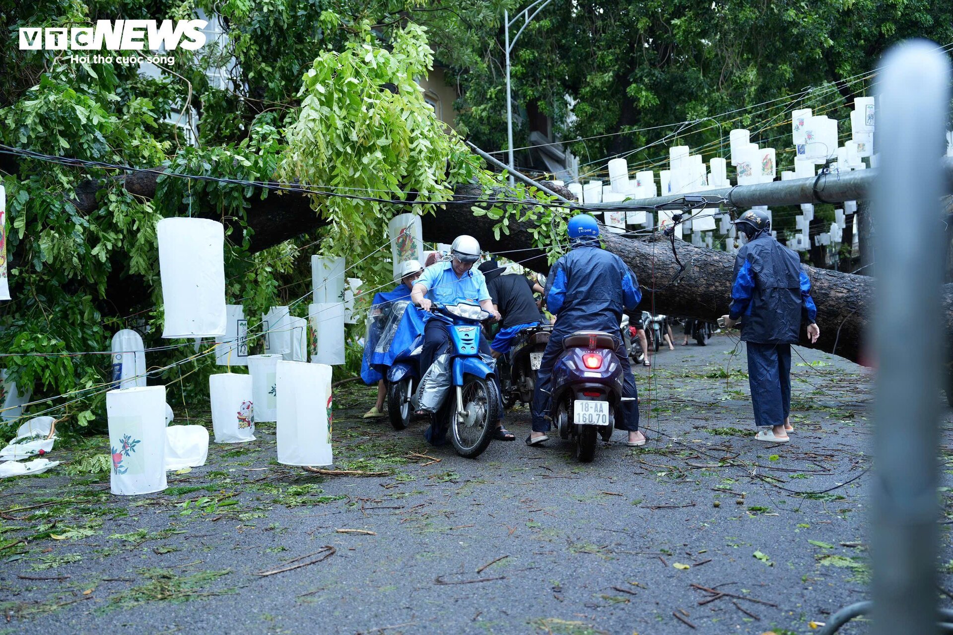 Phố phường Hà Nội tan hoang sau một đêm bão Yagi càn quét - 16