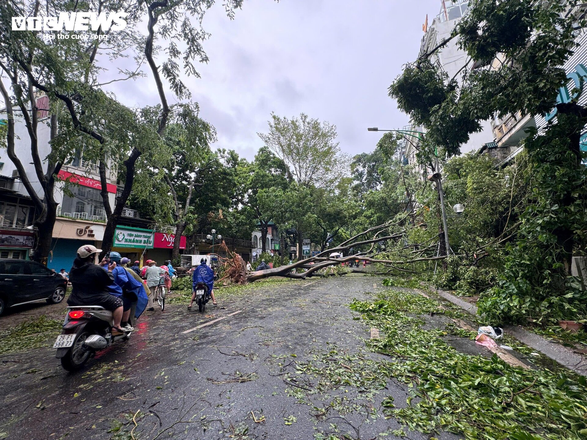 Phố phường Hà Nội tan hoang sau một đêm bão Yagi càn quét - 14