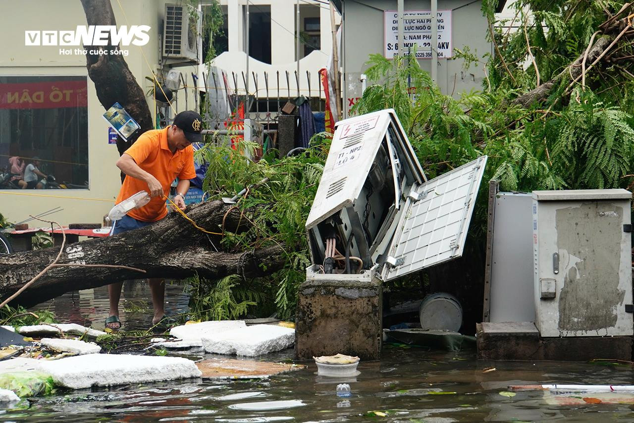 Cây đổ la liệt, đường phố Hải Phòng ngập sâu sau bão Yagi - 5