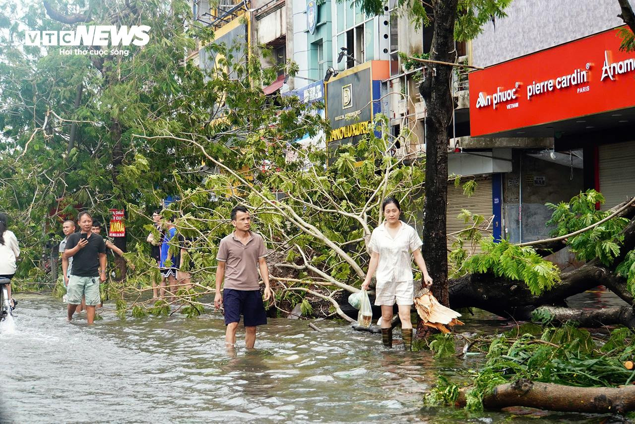 Cây đổ la liệt, đường phố Hải Phòng ngập sâu sau bão Yagi - 7