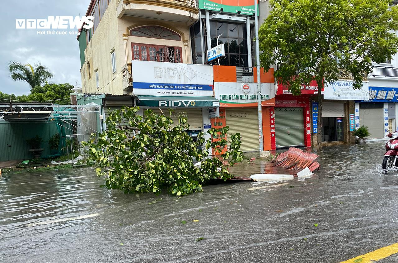 Cây đổ la liệt, đường phố Hải Phòng ngập sâu sau bão Yagi - 4