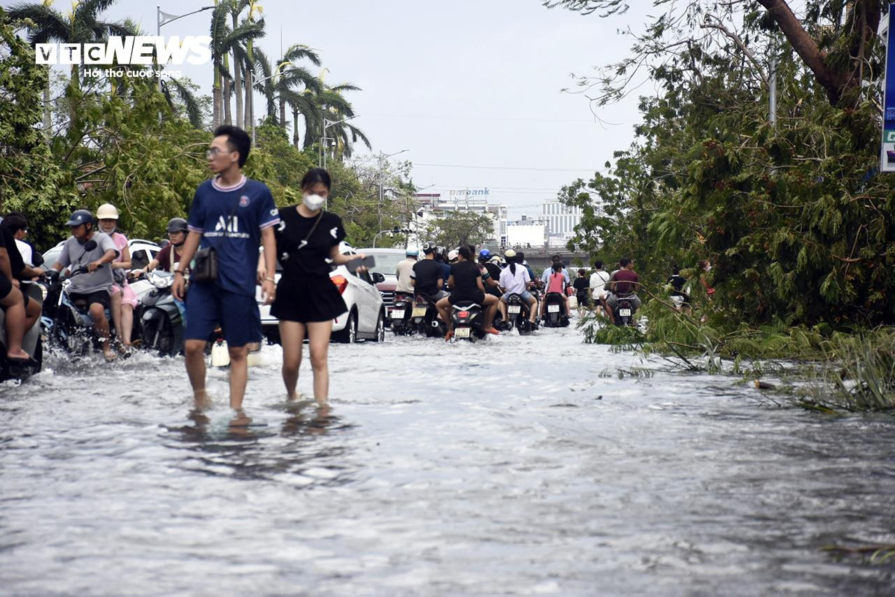 Cây đổ la liệt, đường phố Hải Phòng ngập sâu sau bão Yagi - 2