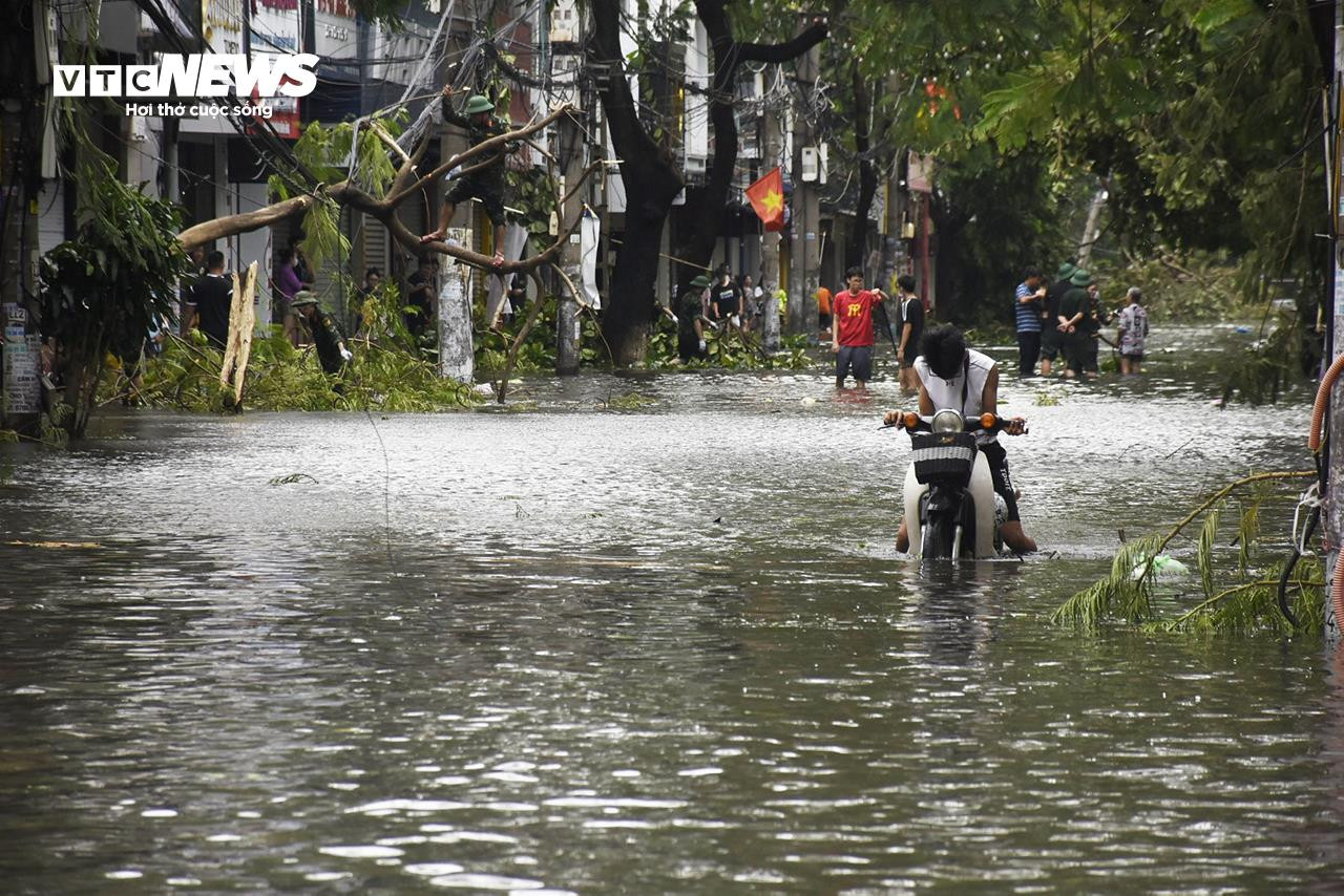 Cây đổ la liệt, đường phố Hải Phòng ngập sâu sau bão Yagi - 8
