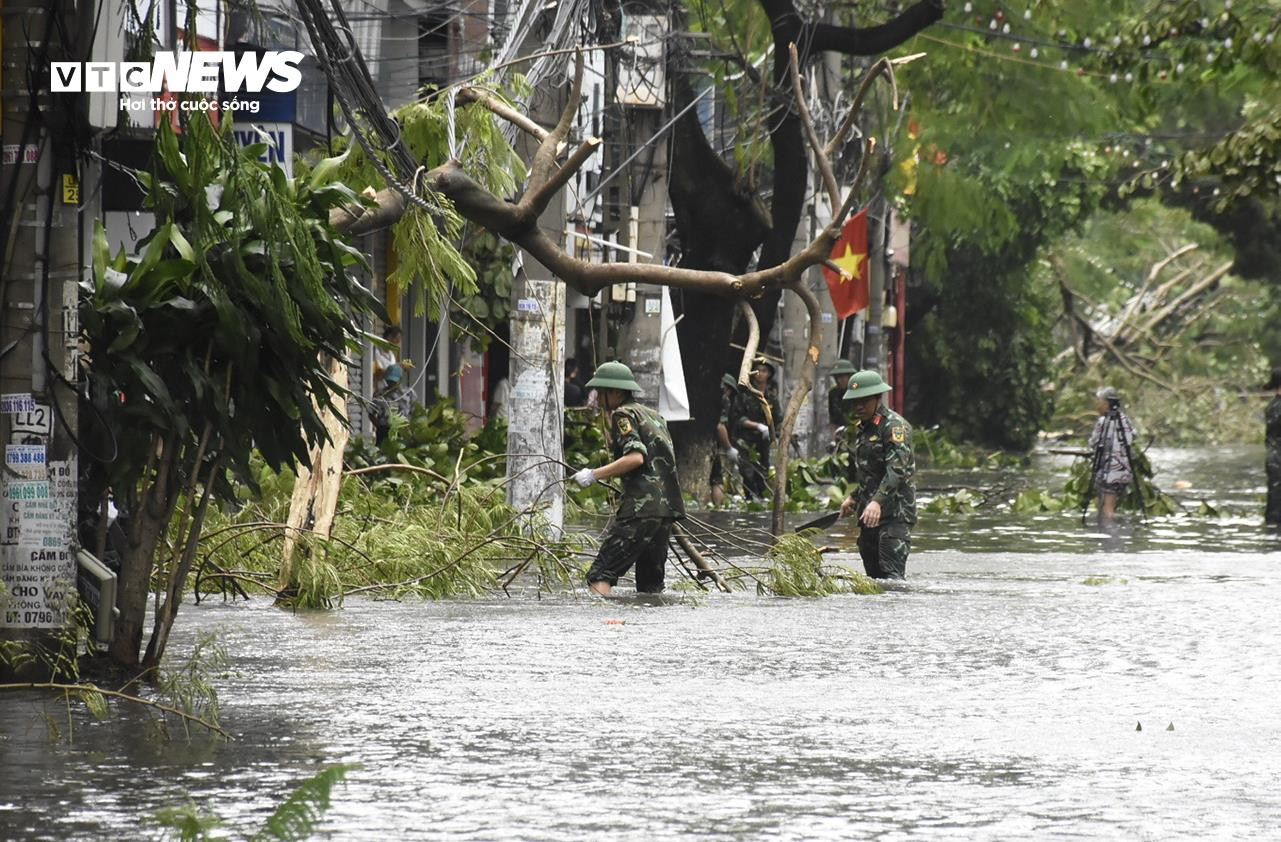 Cây đổ la liệt, đường phố Hải Phòng ngập sâu sau bão Yagi - 12