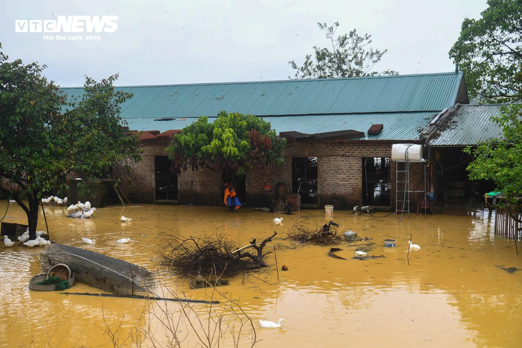 Nước chảy như thác, dân ngoại thành Hà Nội dùng bao cát chắn lũ - 6