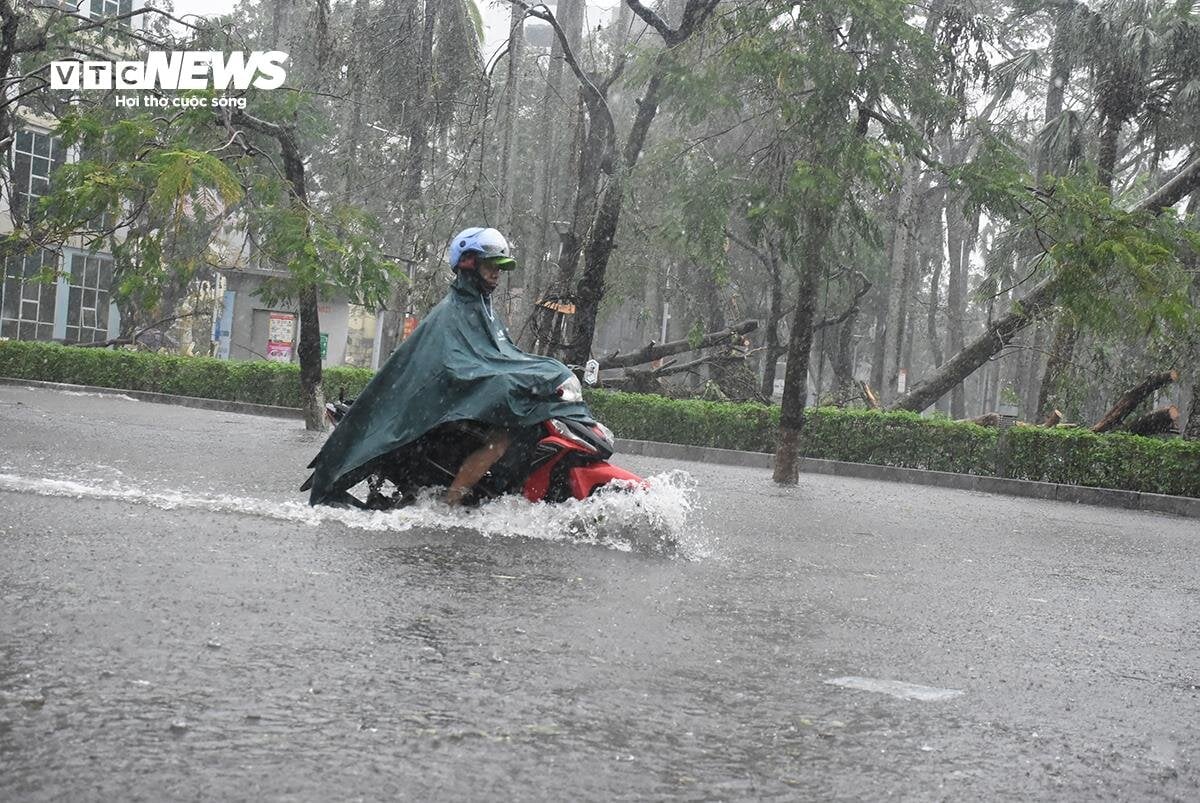 Hải Phòng ngập tứ bề, loạt xe chết máy, tiểu thương kê cao đồ tránh biển nước - 17