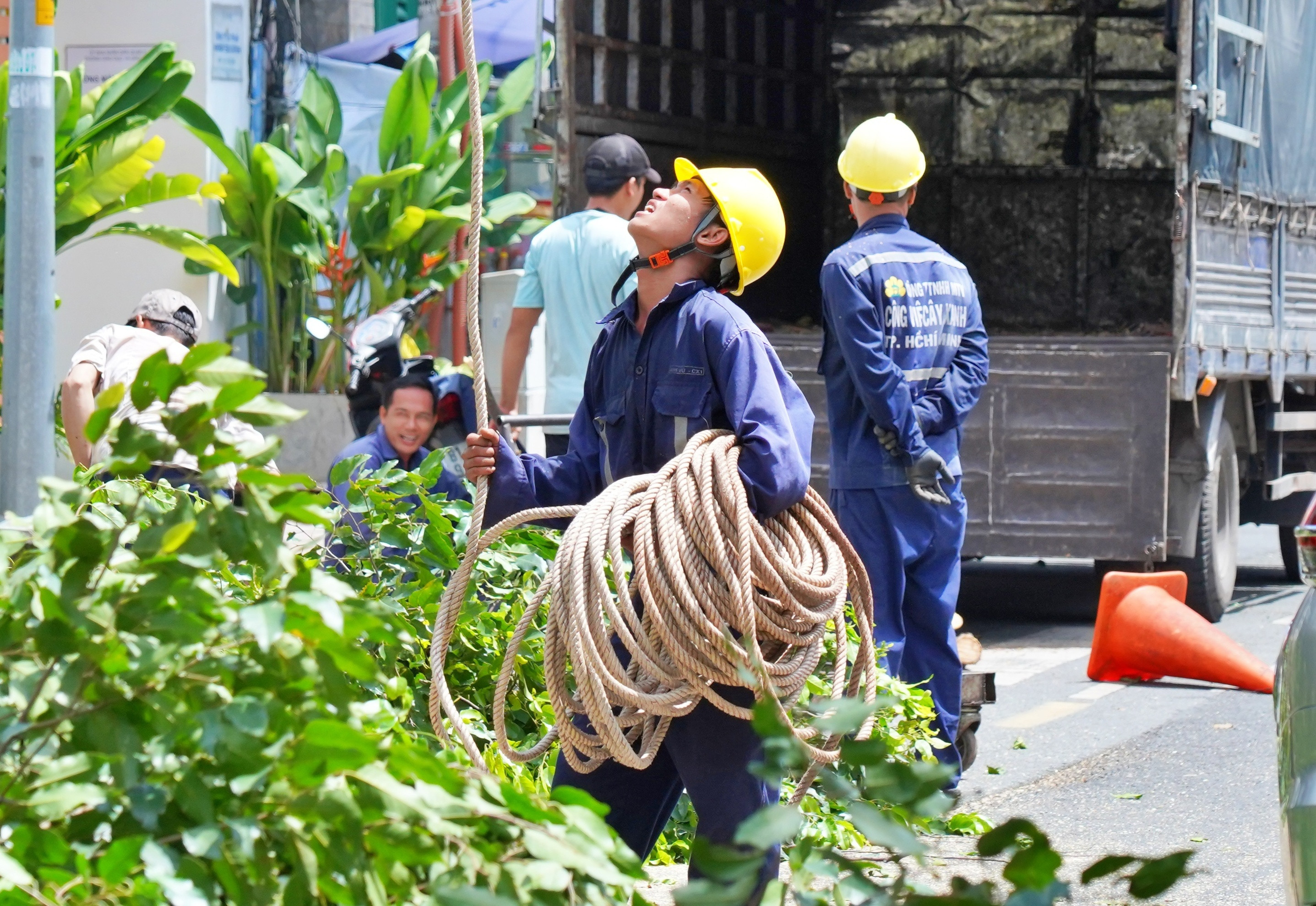 Đốn hạ, cắt tỉa loạt cây cổ thụ có dấu hiệu mục ruỗng ở trung tâm TP.HCM - 15