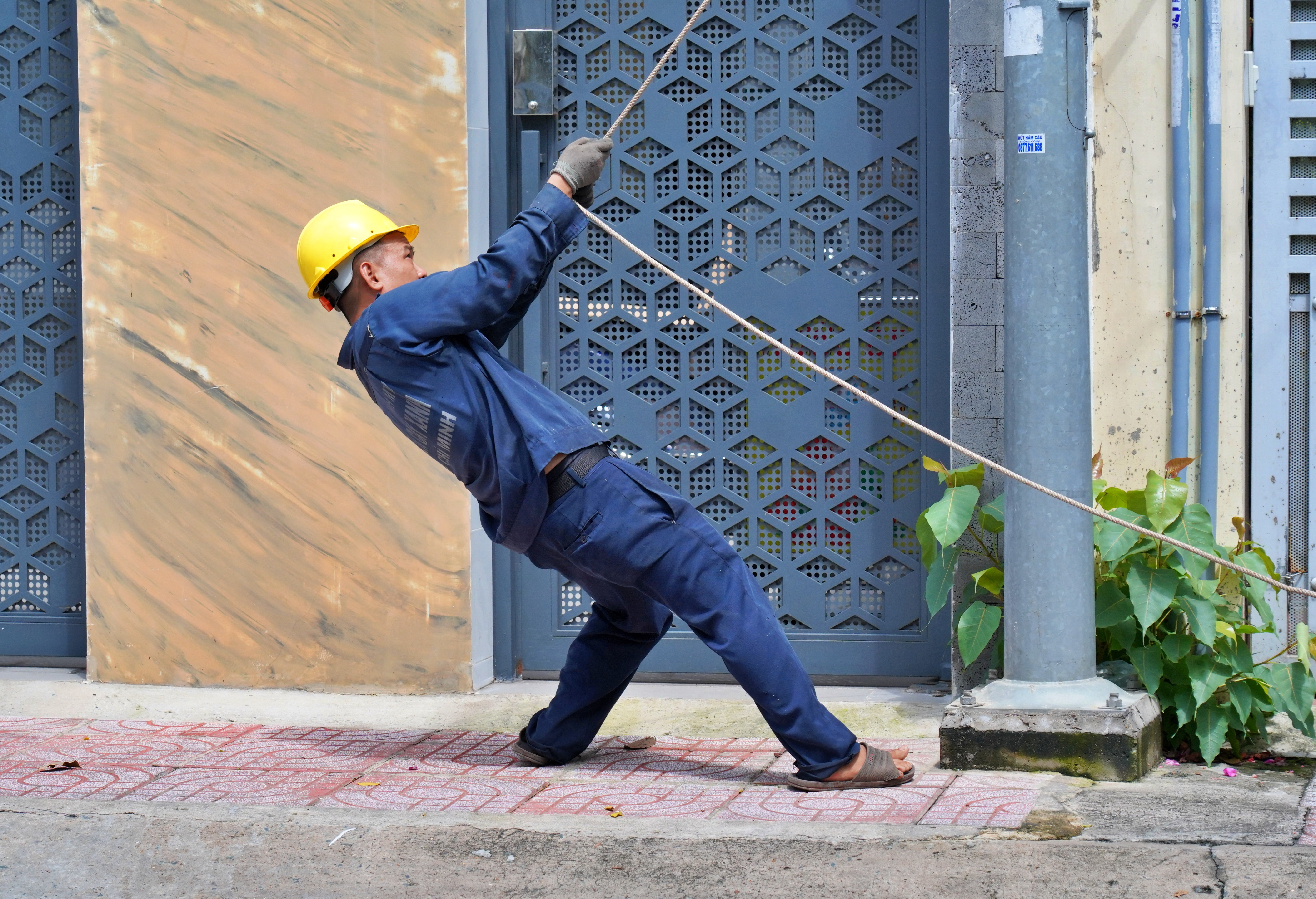 Đốn hạ, cắt tỉa loạt cây cổ thụ có dấu hiệu mục ruỗng ở trung tâm TP.HCM - 14