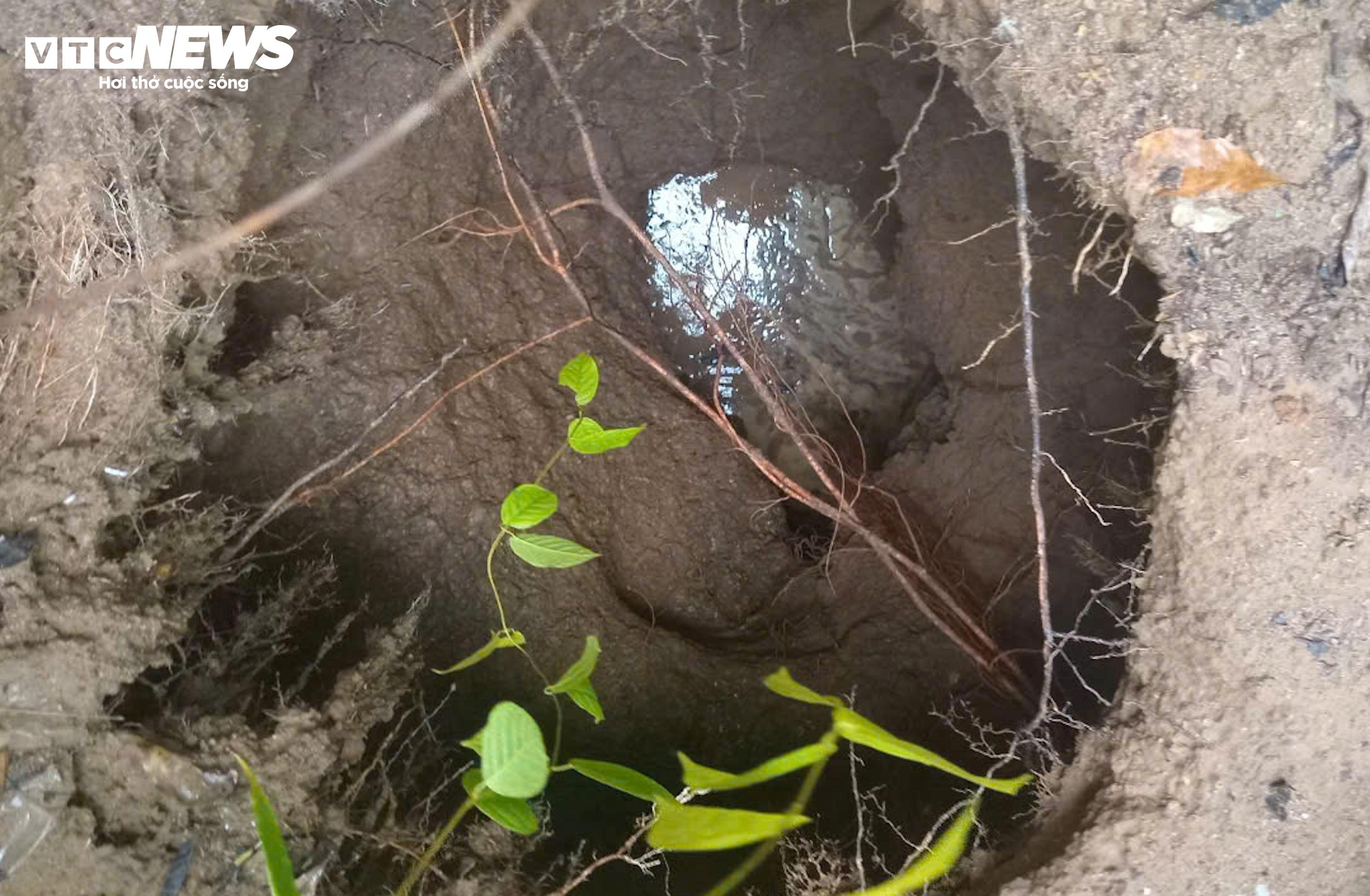 Bão số 4 suy yếu thành áp thấp nhiệt đới, gió vẫn giật cấp 10 - 13