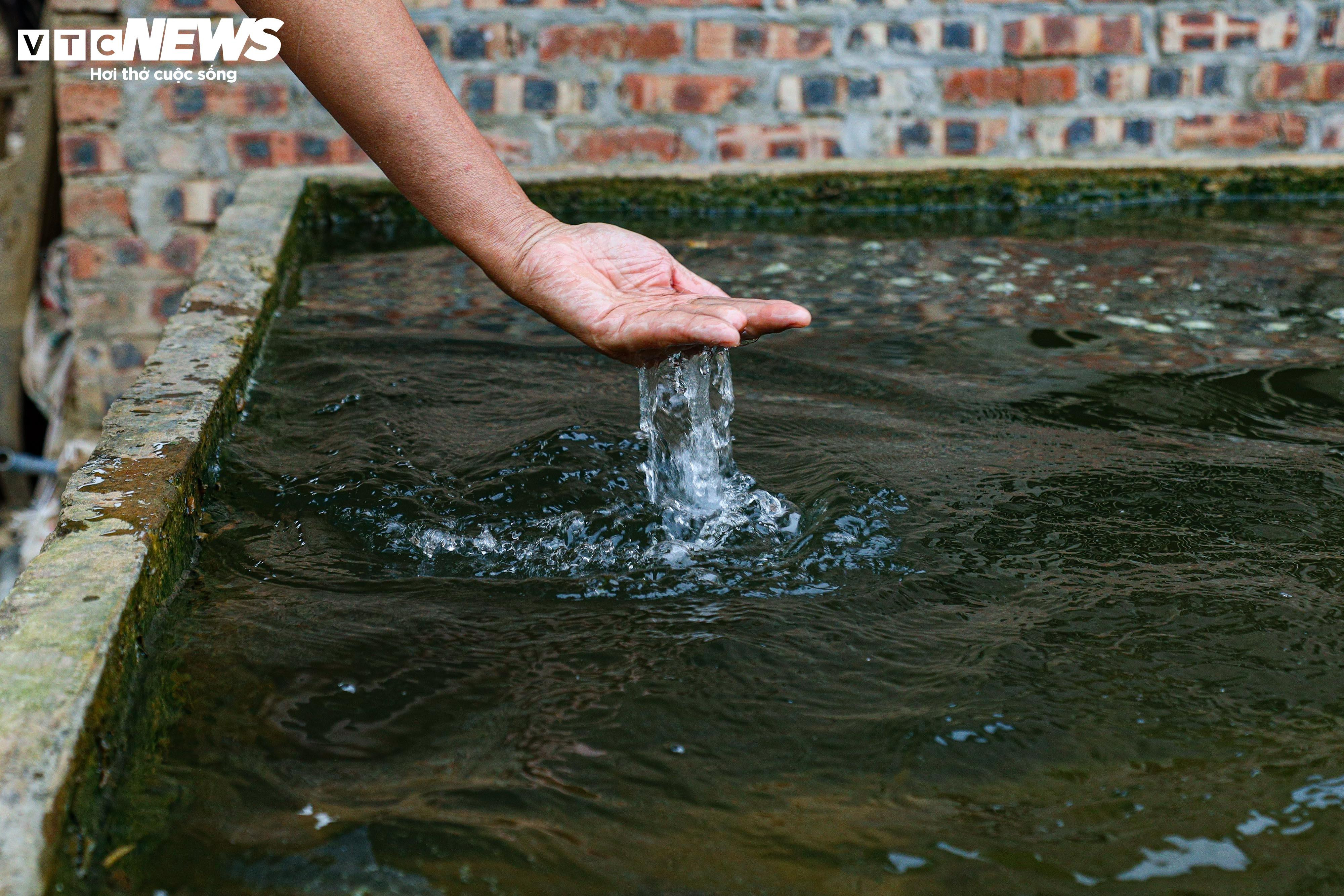 Lão nông dốc tiền gieo mầm xanh cho vườn nho Hạ Đen bị bão lũ quật nát - 14