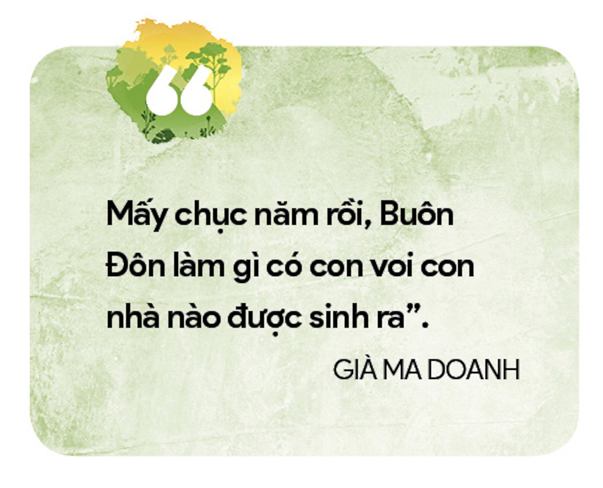 Cái chết của con voi nhà cuối cùng - 7