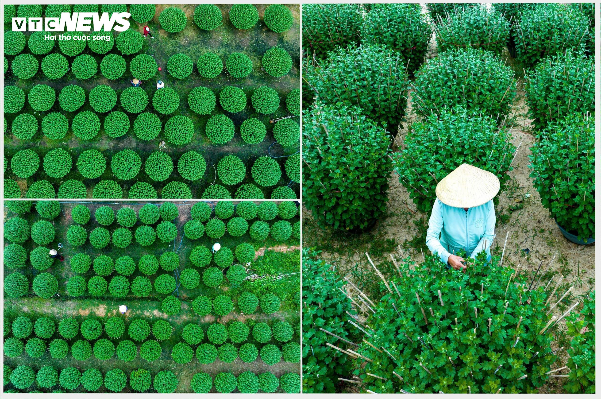 Hơn 99% cử tri ủng hộ thành lập thành phố An Nhơn - 12