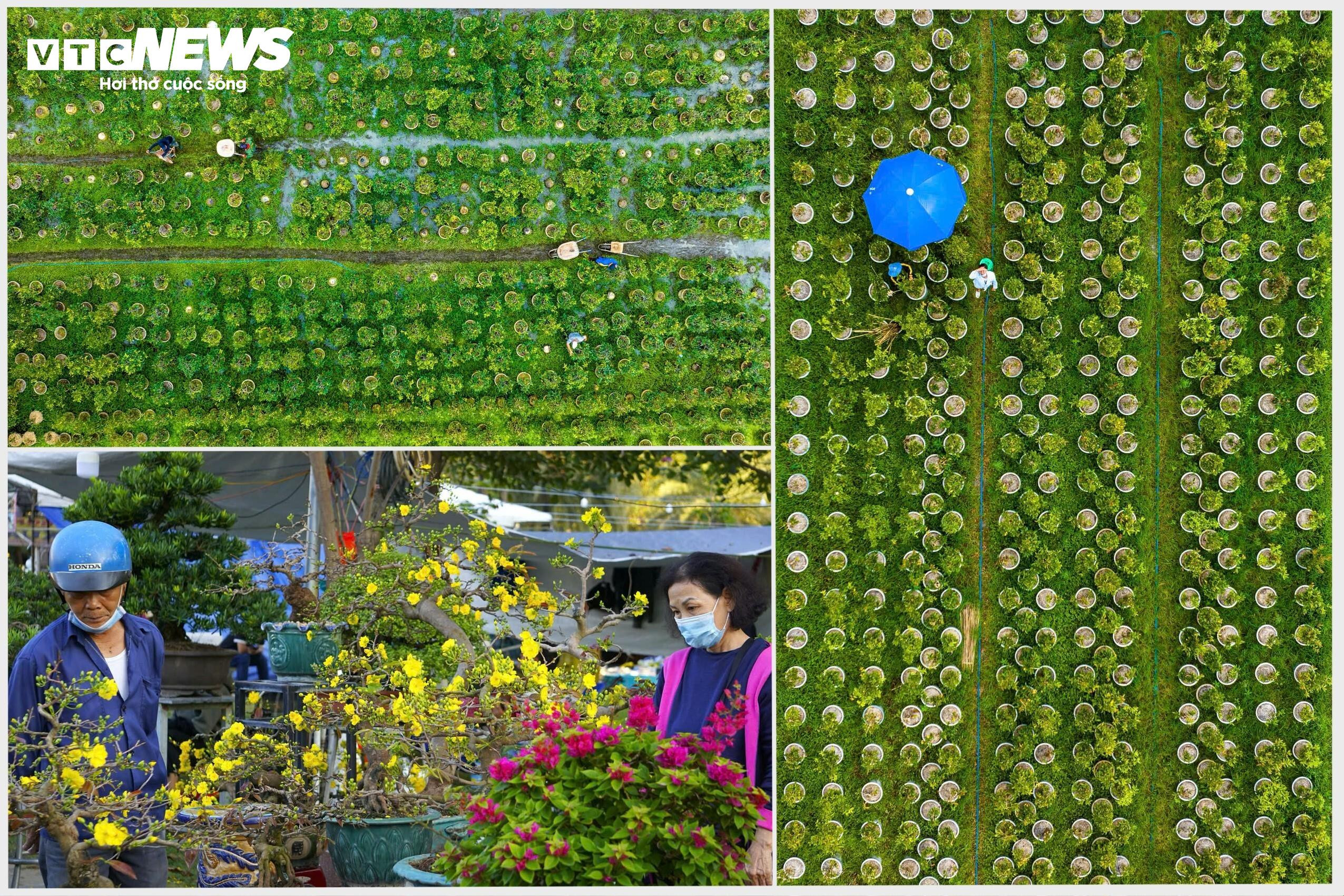 Hơn 99% cử tri ủng hộ thành lập thành phố An Nhơn - 11