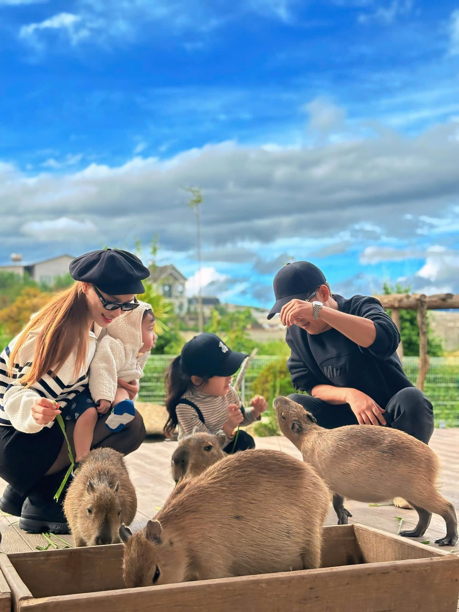 Sao Việt 4/11: Hồ Ngọc Hà tình tứ bên ông xã, Trường Giang khoe tổ ấm hạnh phúc - 1