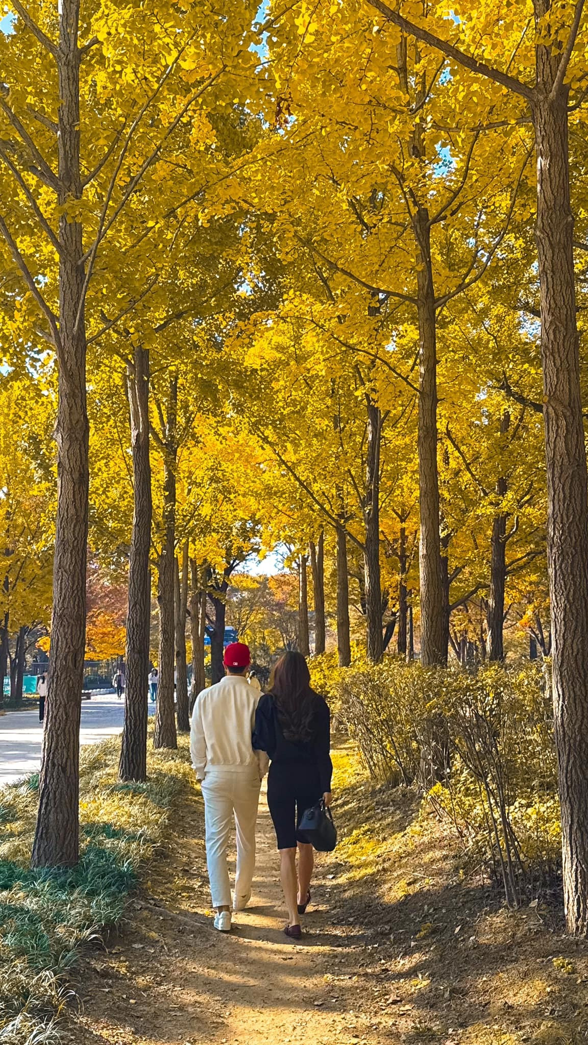 Sao Việt 4/11: Hồ Ngọc Hà tình tứ bên ông xã, Trường Giang khoe tổ ấm hạnh phúc - 6