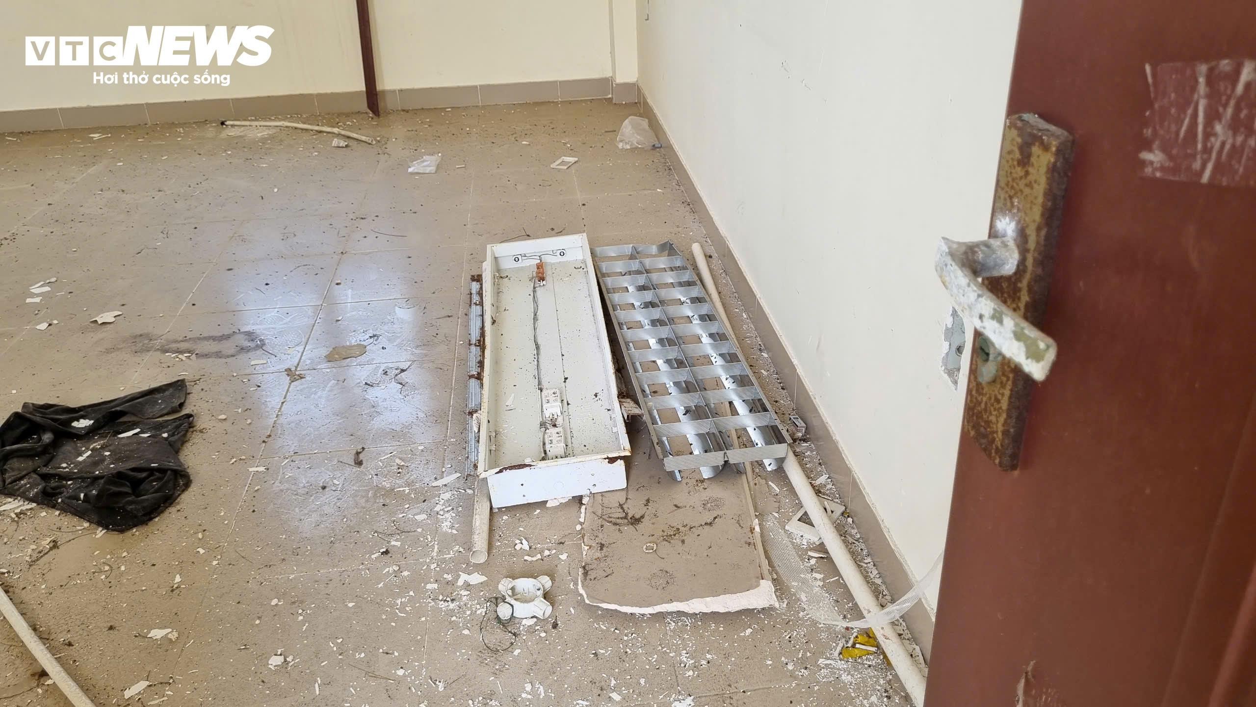 Lãng phí khu sản xuất và kiểm định giống thủy sản gần 40 tỷ đồng ở Quảng Nam - 5