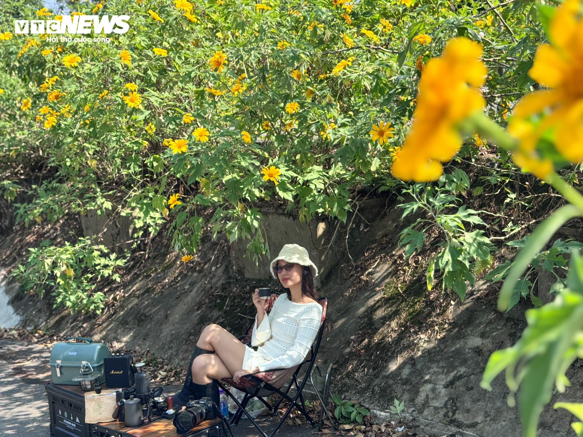 Giới trẻ mê mẩn check-in thiên đường hoa dã quỳ ở ngoại thành Hà Nội - 13