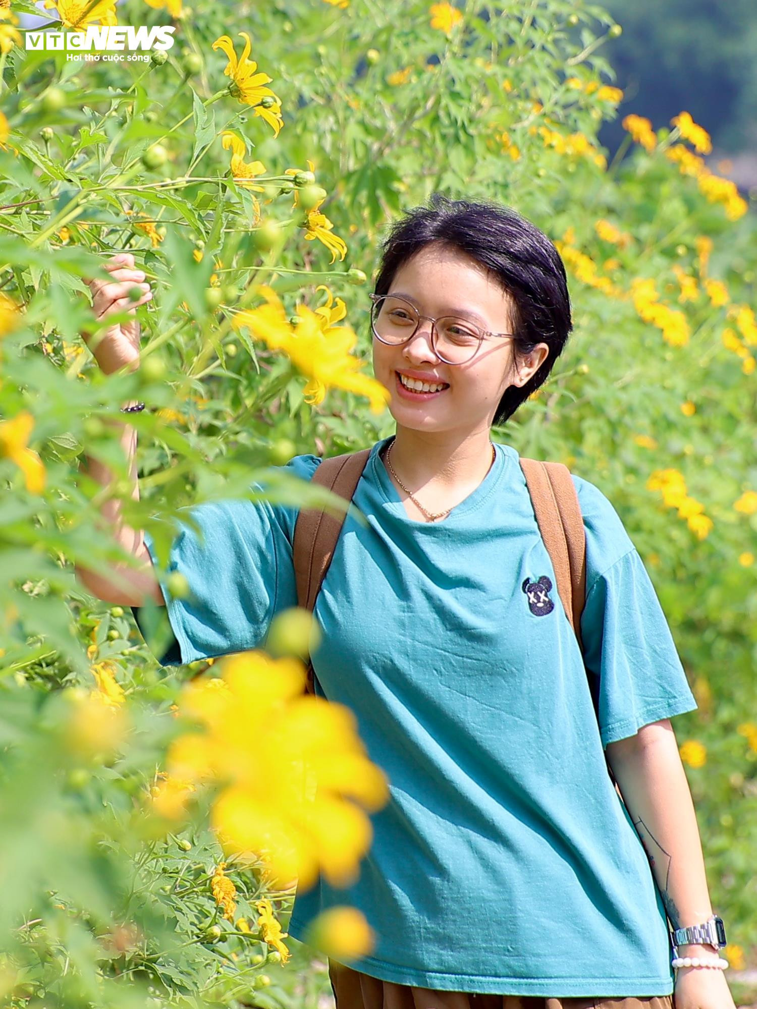 Giới trẻ mê mẩn check-in thiên đường hoa dã quỳ ở ngoại thành Hà Nội - 12