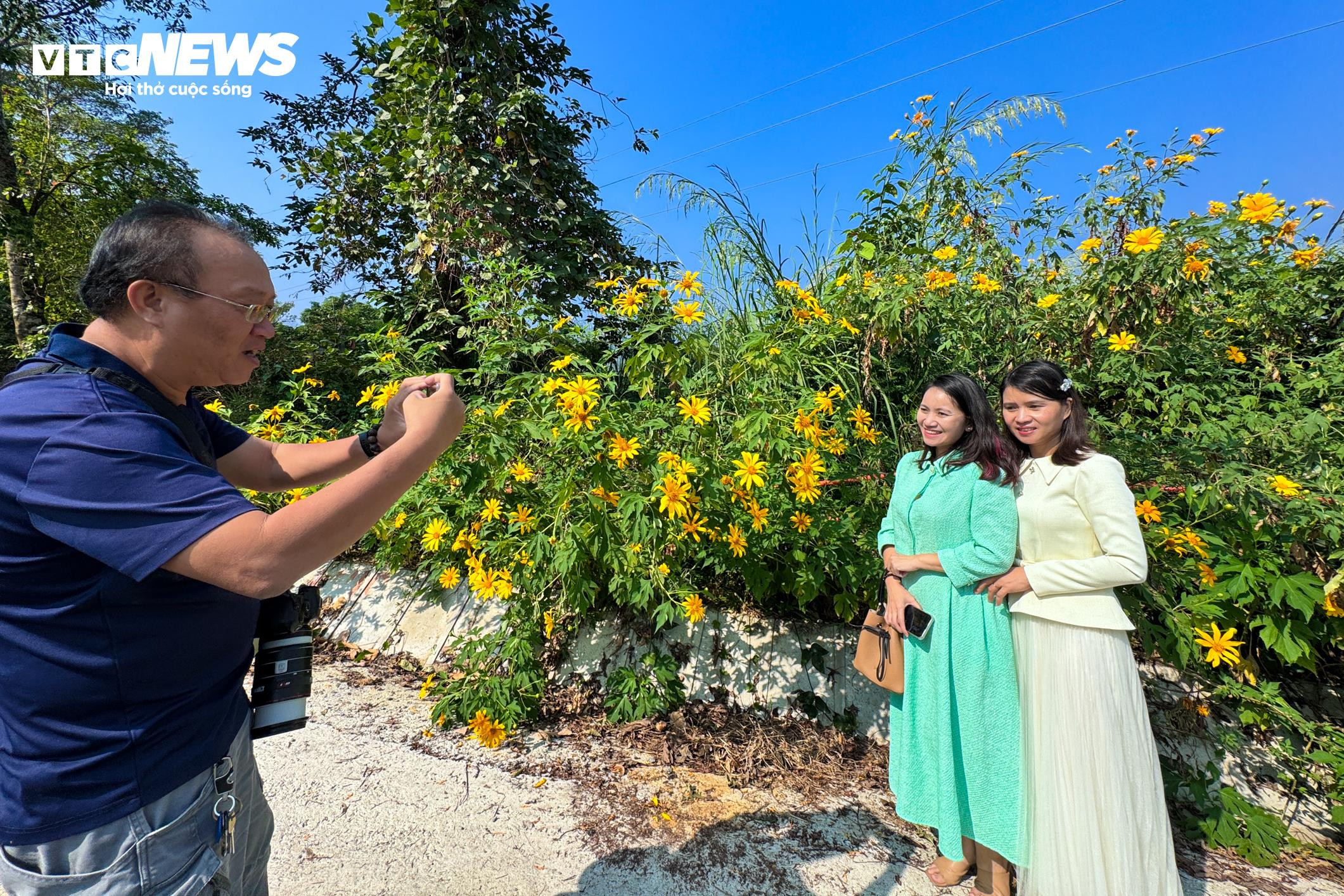 Giới trẻ mê mẩn check-in thiên đường hoa dã quỳ ở ngoại thành Hà Nội - 14