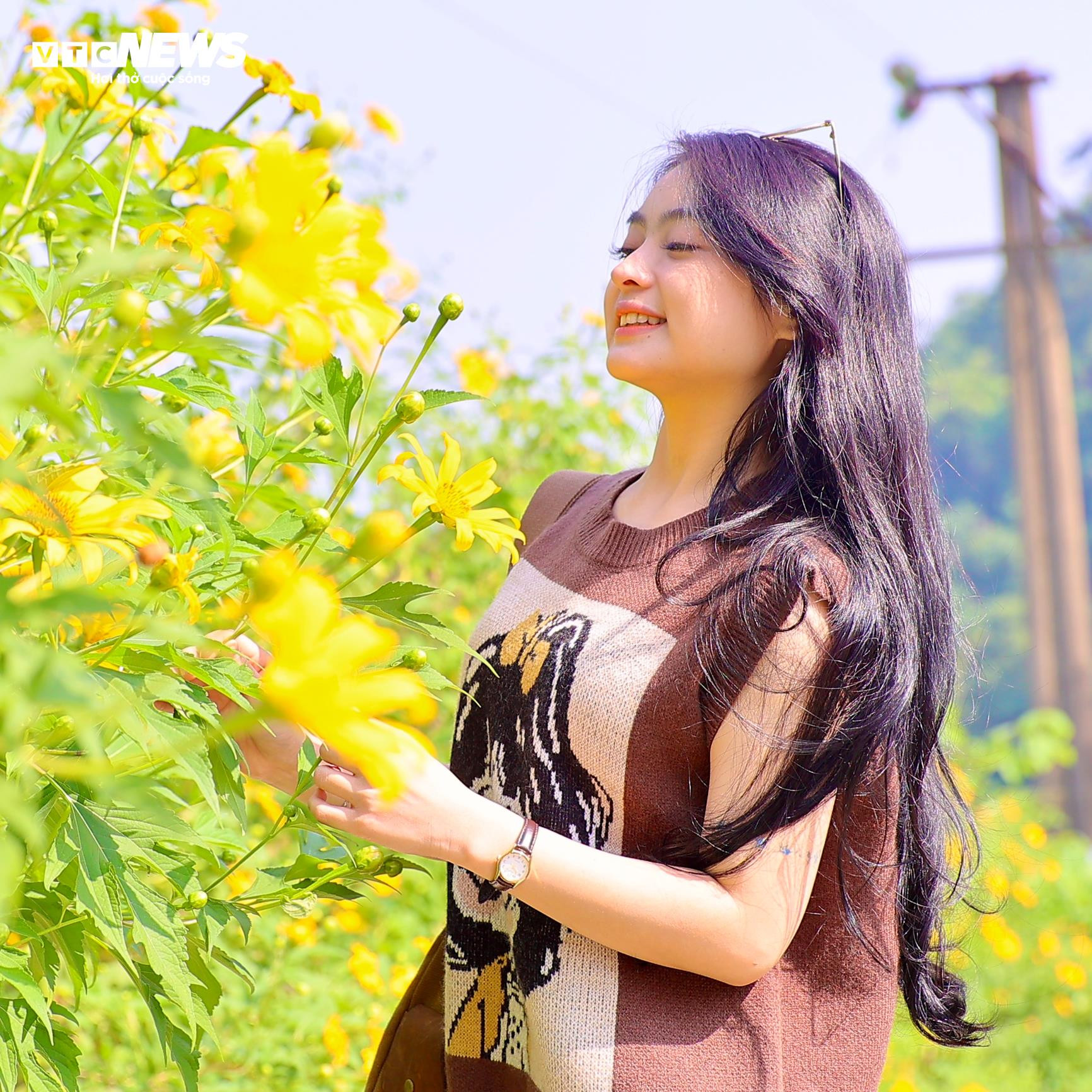 Giới trẻ mê mẩn check-in thiên đường hoa dã quỳ ở ngoại thành Hà Nội - 10