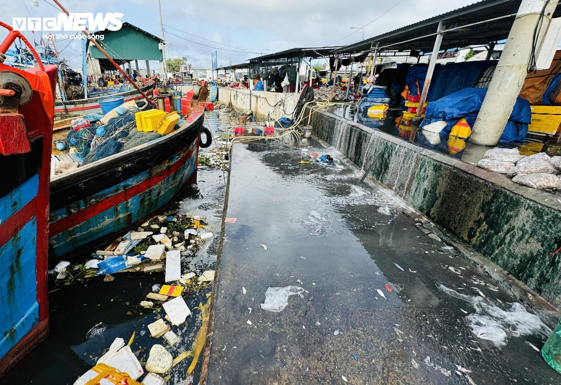 Kinh hãi nước thải, rác rưởi 'tra tấn' cảng cá ở Quảng Ngãi - 7
