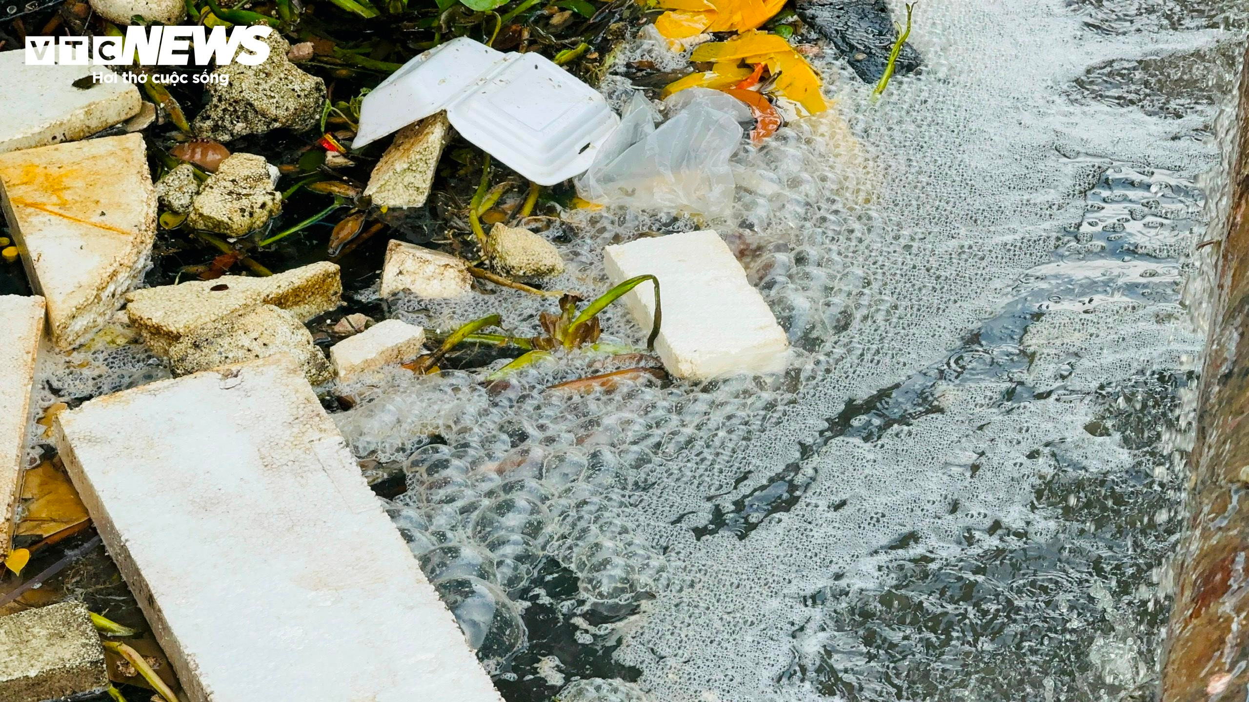 Kinh hãi nước thải, rác rưởi 'tra tấn' cảng cá ở Quảng Ngãi - 8